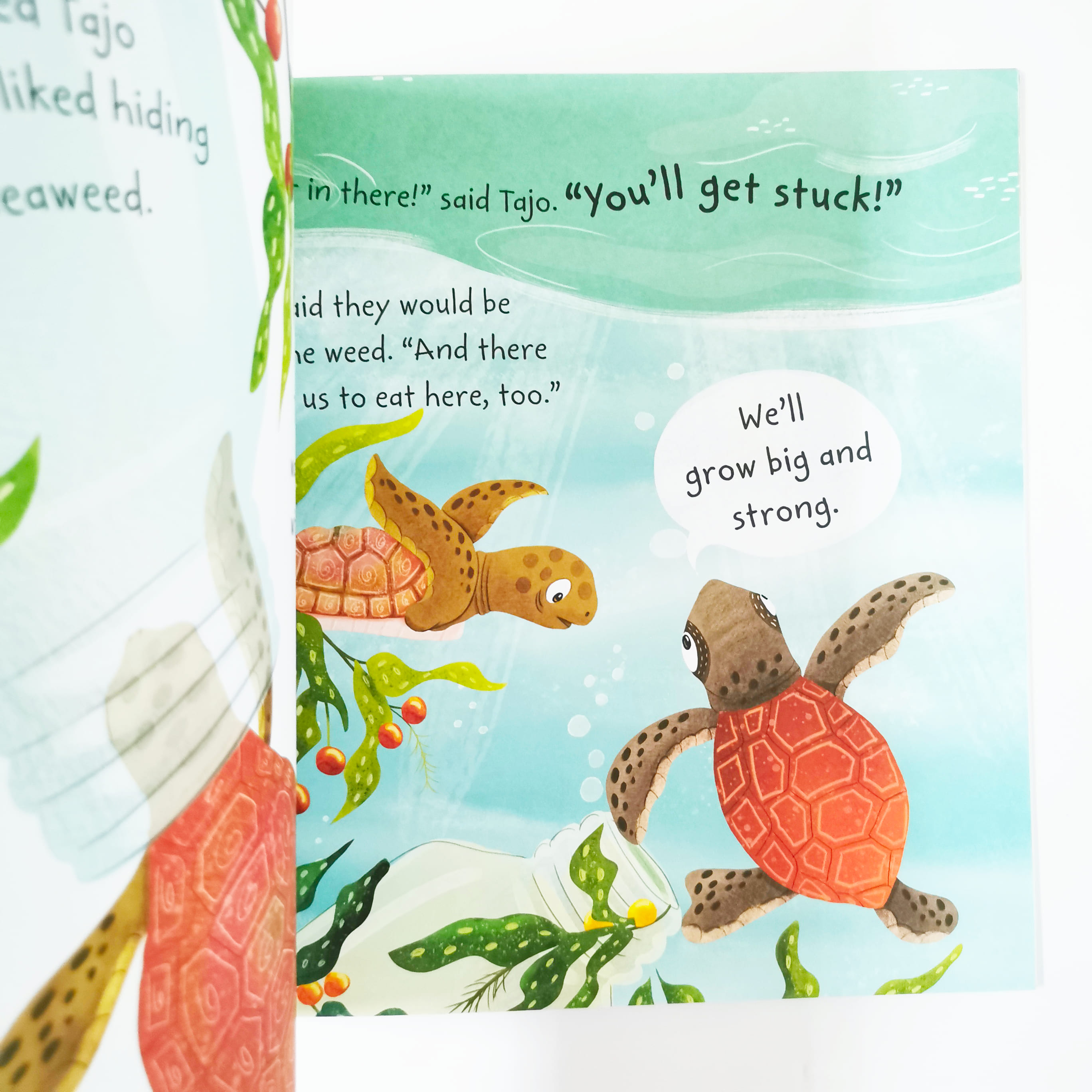 Tia the Turtle (Stories from the Sea)