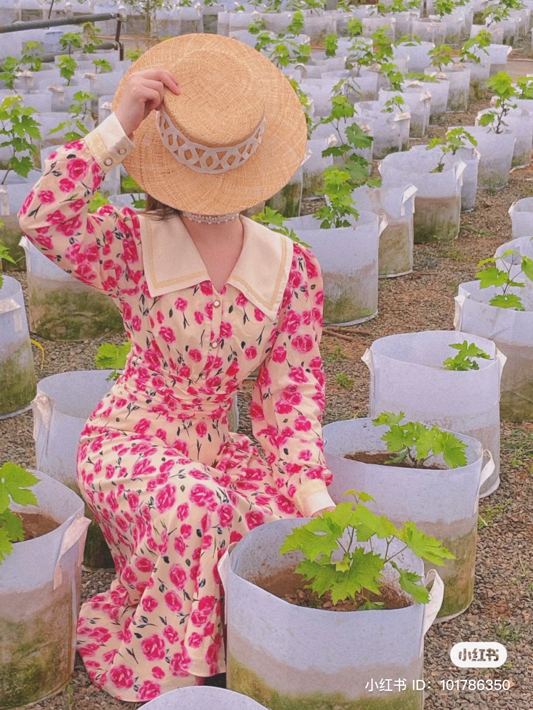 🌹 S 🌹 Widelia@Real เดรสคอปกลายดอก