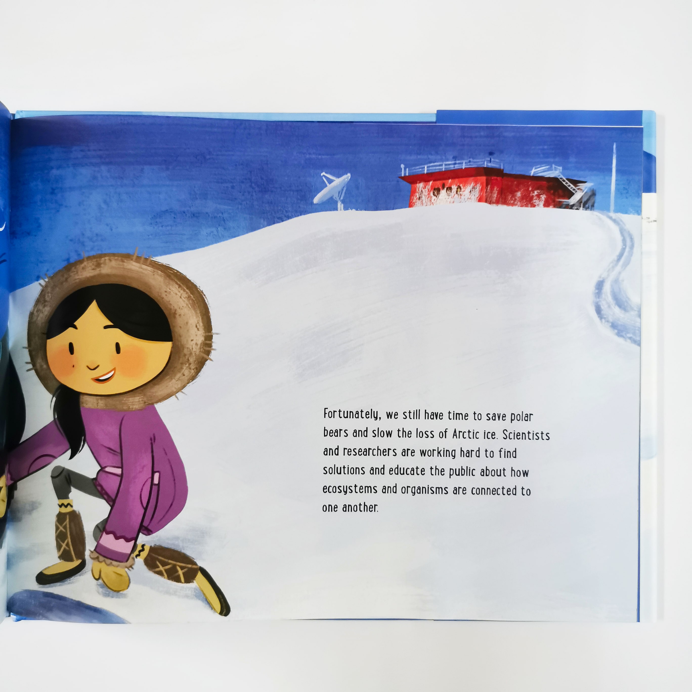 If Polar Bears Disappeared (If Animals Disappeared)