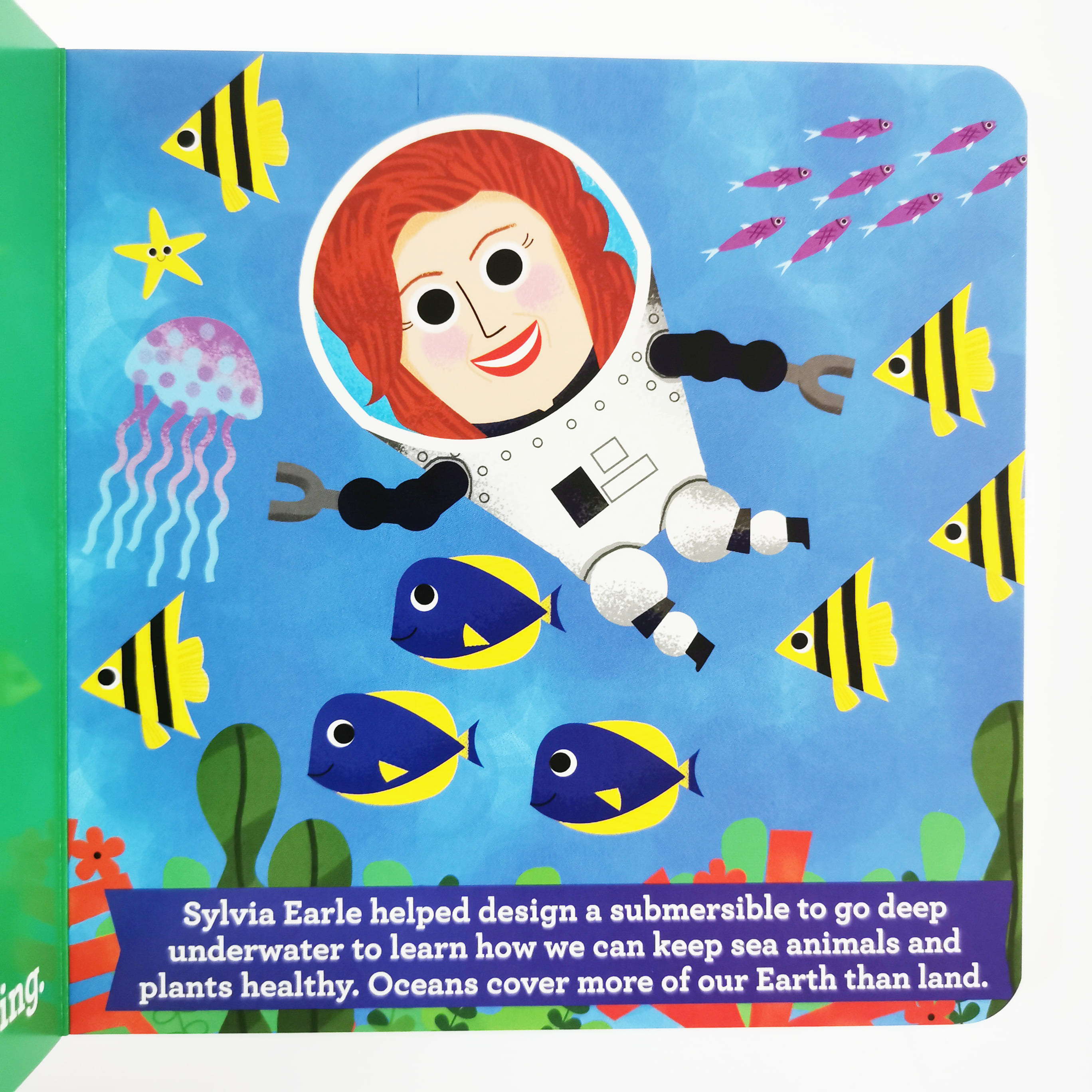 This Little Environmentalist