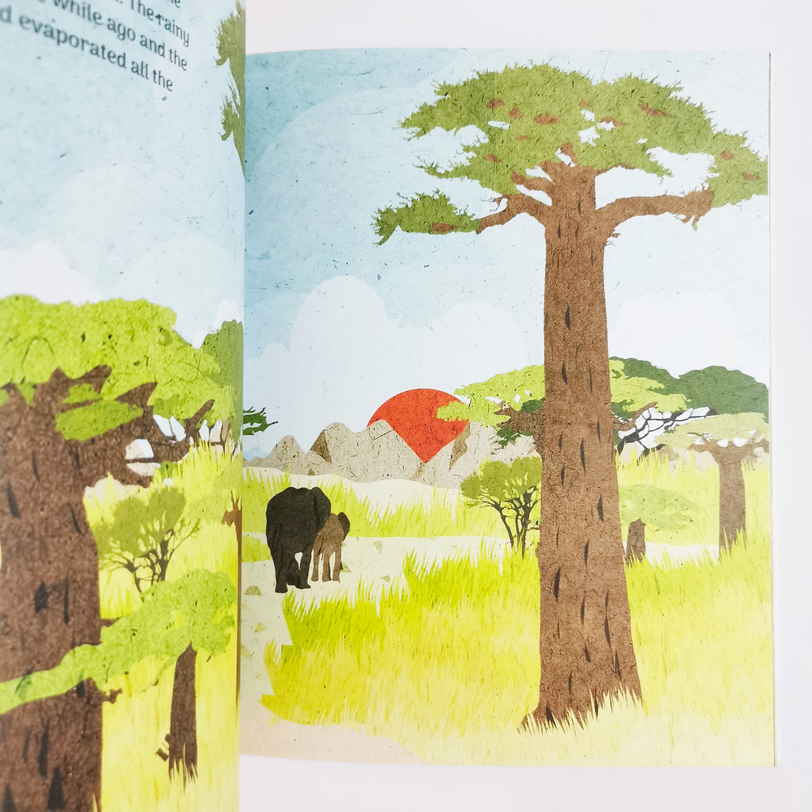 Paki and Biggy : The Elephant of Savanna