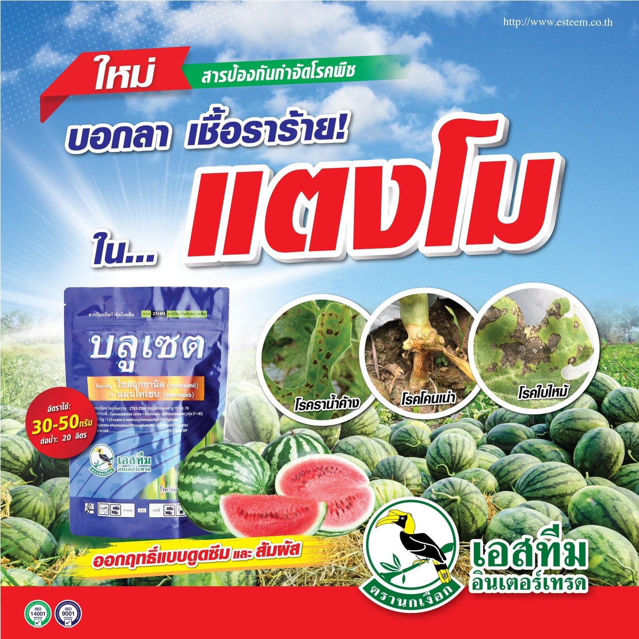 บลูเซต ไซมอกซานิล+แมนโคเซบ 8%+64% WP ขนาด 500 กรัม ป้องกันกำจัดโรคใบไหม้ โรคใบจุด โรคราน้ำค้าง