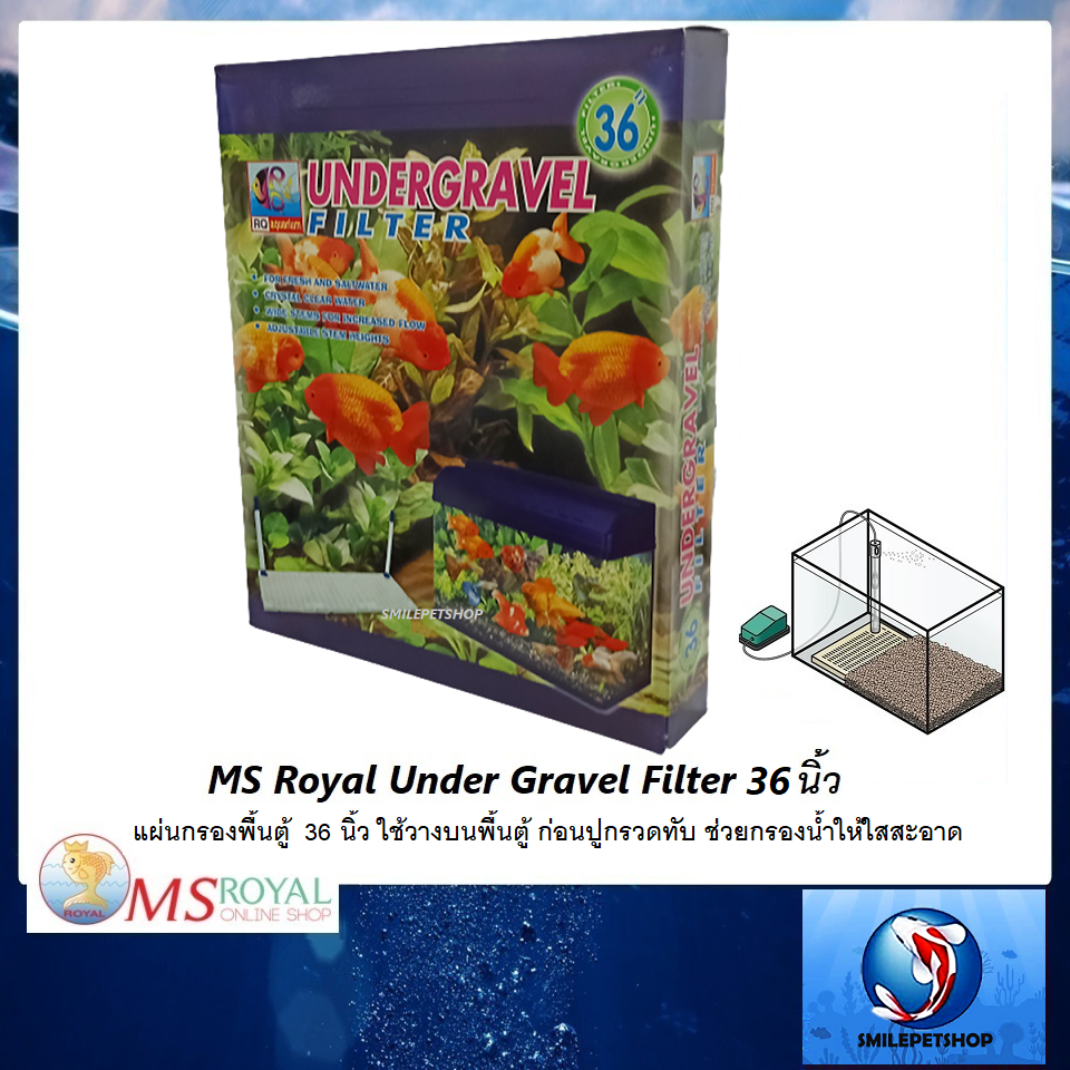 MS Royal Under Gravel Filter แผ่นกรองพื้นตู้ 36 นิ้ว(ใช้วางบนพื้นตู้ ก่อนปูกรวดทับ ช่วยกรองน้ำให้ใสสะอาด)
