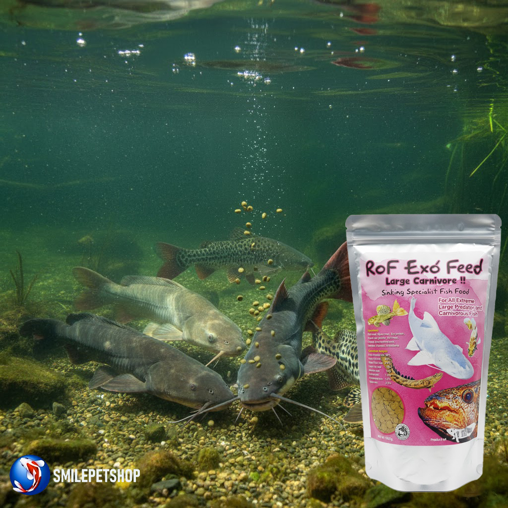 RoF Exo' Feed Large Carnivore Sinking Special Fish Food 1000g.ถุงชมพู(อาหารปลาเม็ดจมน้ำสำหรับปลากินเนื้อ โปรตีนสูง)