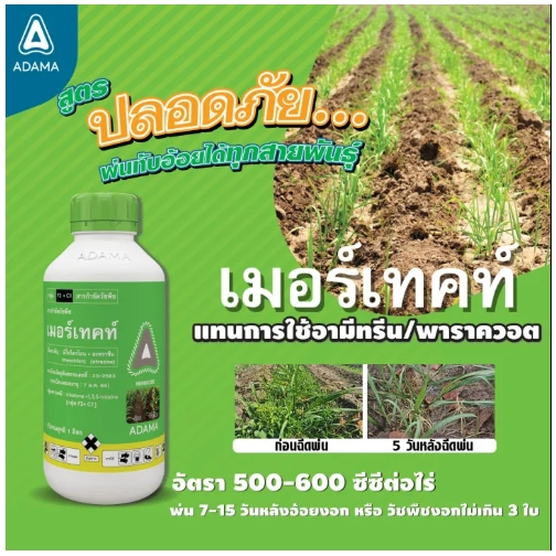 เมอร์เทคท์ สาร มีโซไตรโอน + อะทราซีน ขนาด 1 ลิตร คุม - ฆ่า หญ้ากำจัดวัชพืช ในไร่ ฉีดทับ ข้าวโพดได้