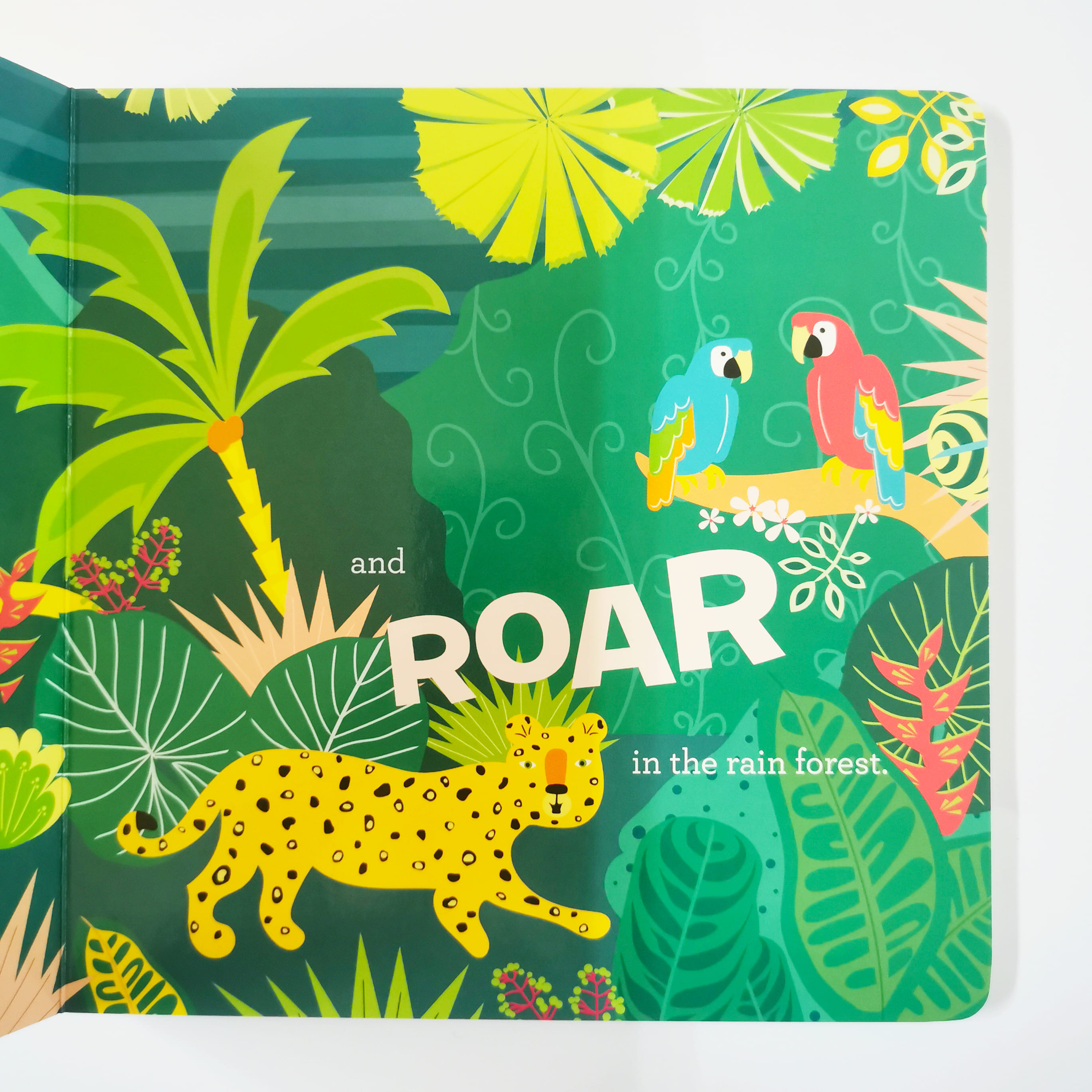 Rio de Janeiro (Hello World)