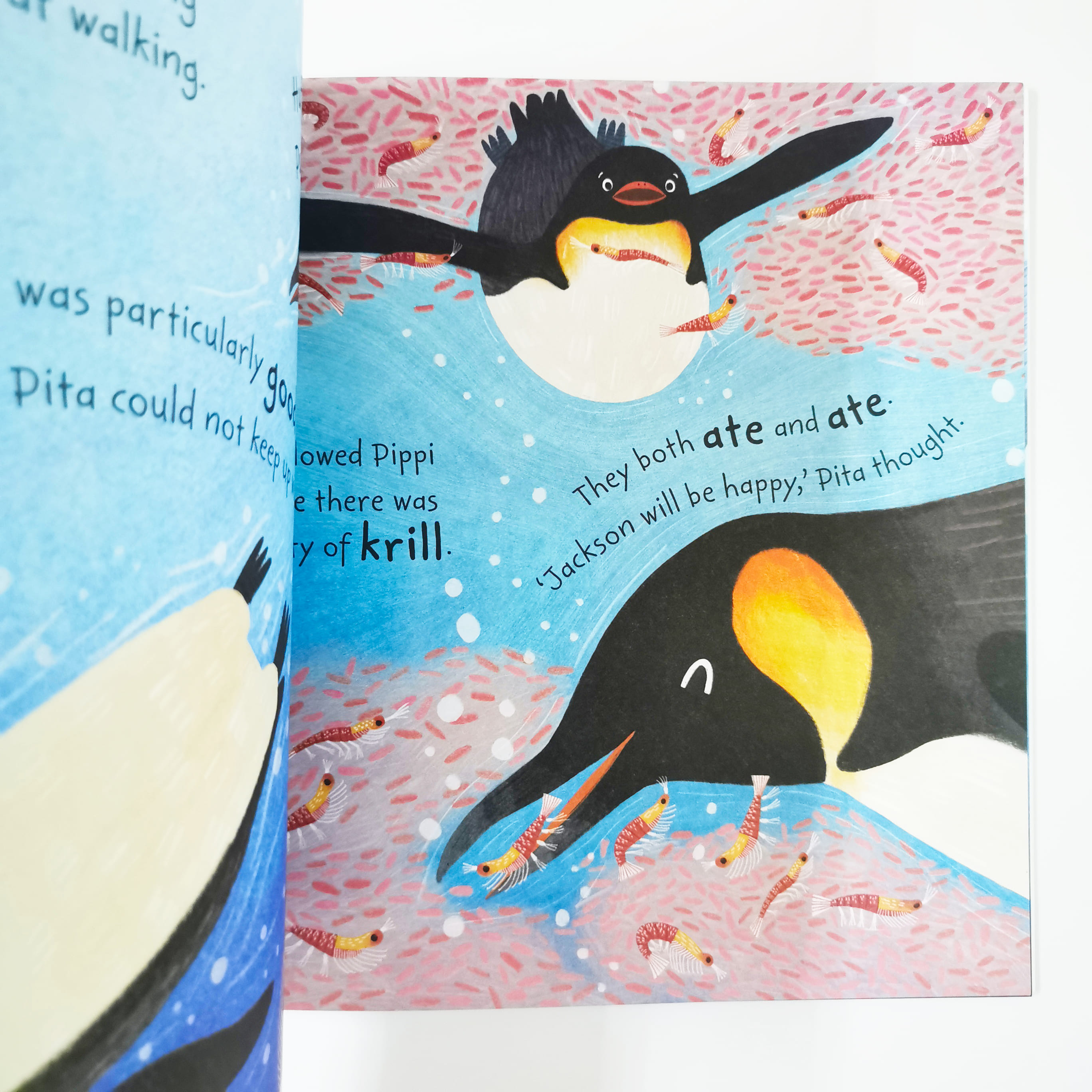 Pippi the Penguin (Stories from the Sea)