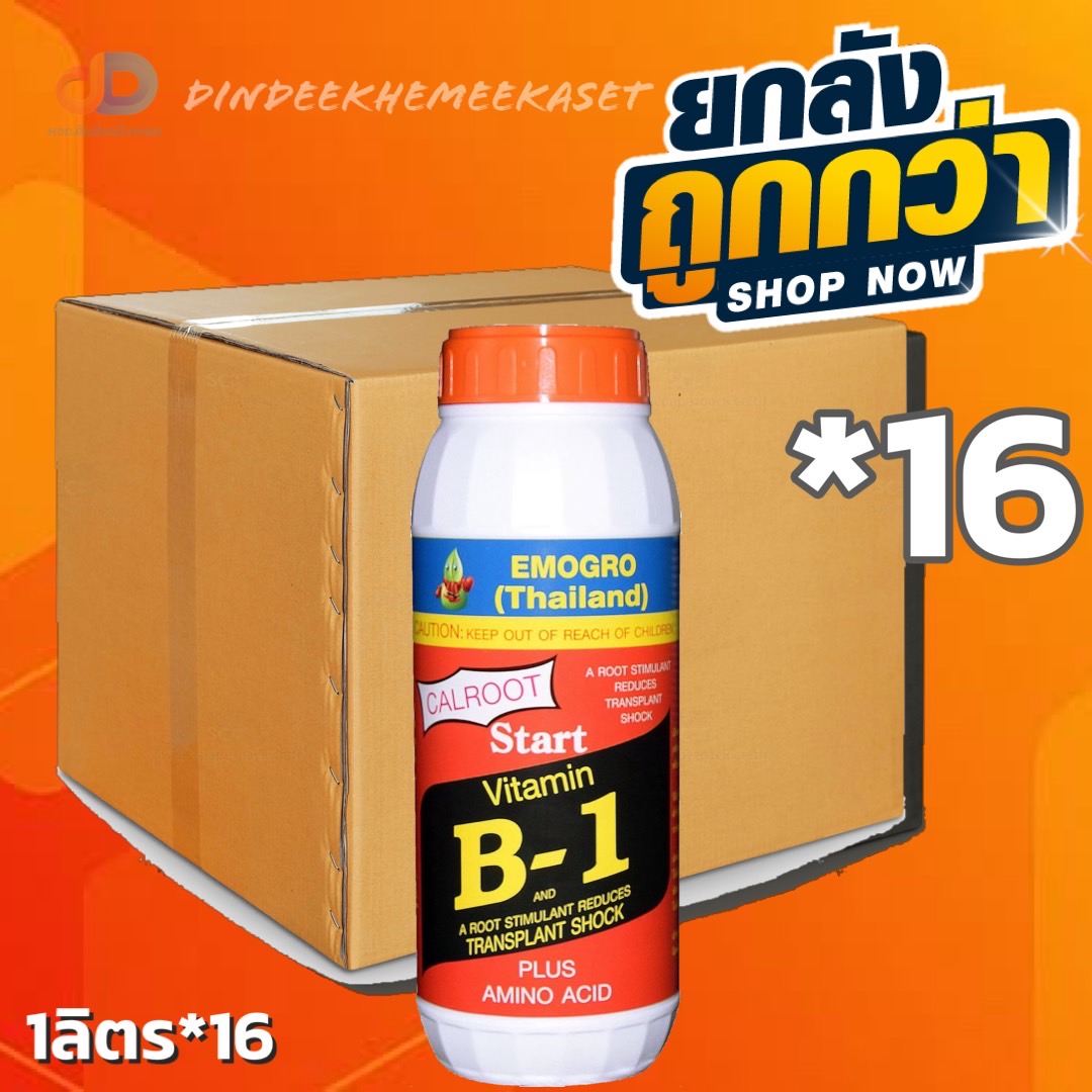 (ยกลัง 16 ขวด ) วิตามินบี-1 (VitaminB-1) #สารกระตุ้นรากพืช ขนาด 1ลิตร