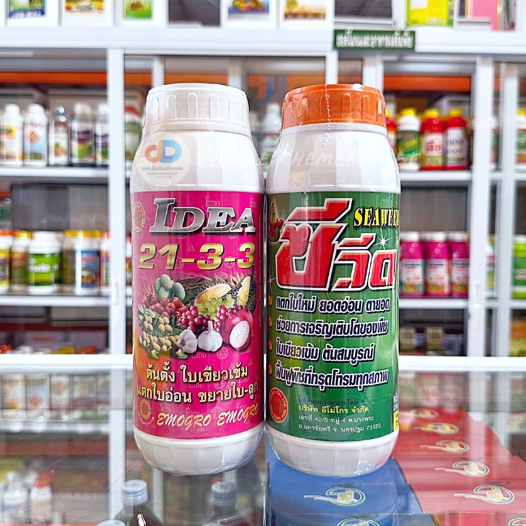 (ชุด2ขวด) ปุ๋ยน้ำ 21-3-3 ขนาด 1 ลิตร ต้นตั้ง แตกยอด อ่อนแตกใบอ่อน ขยายใบ+ซีวีด (SEAWEED) #สาหร่ายสกัดชนิดเข้มข้น ใบเขียว