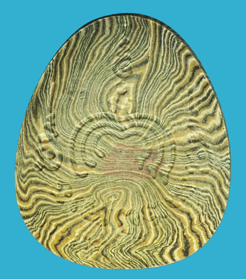 A1272 พระปิดตาผงลาย หลวงพ่อแพ วัดพิกุลทอง สิงห์ฐุรี 82