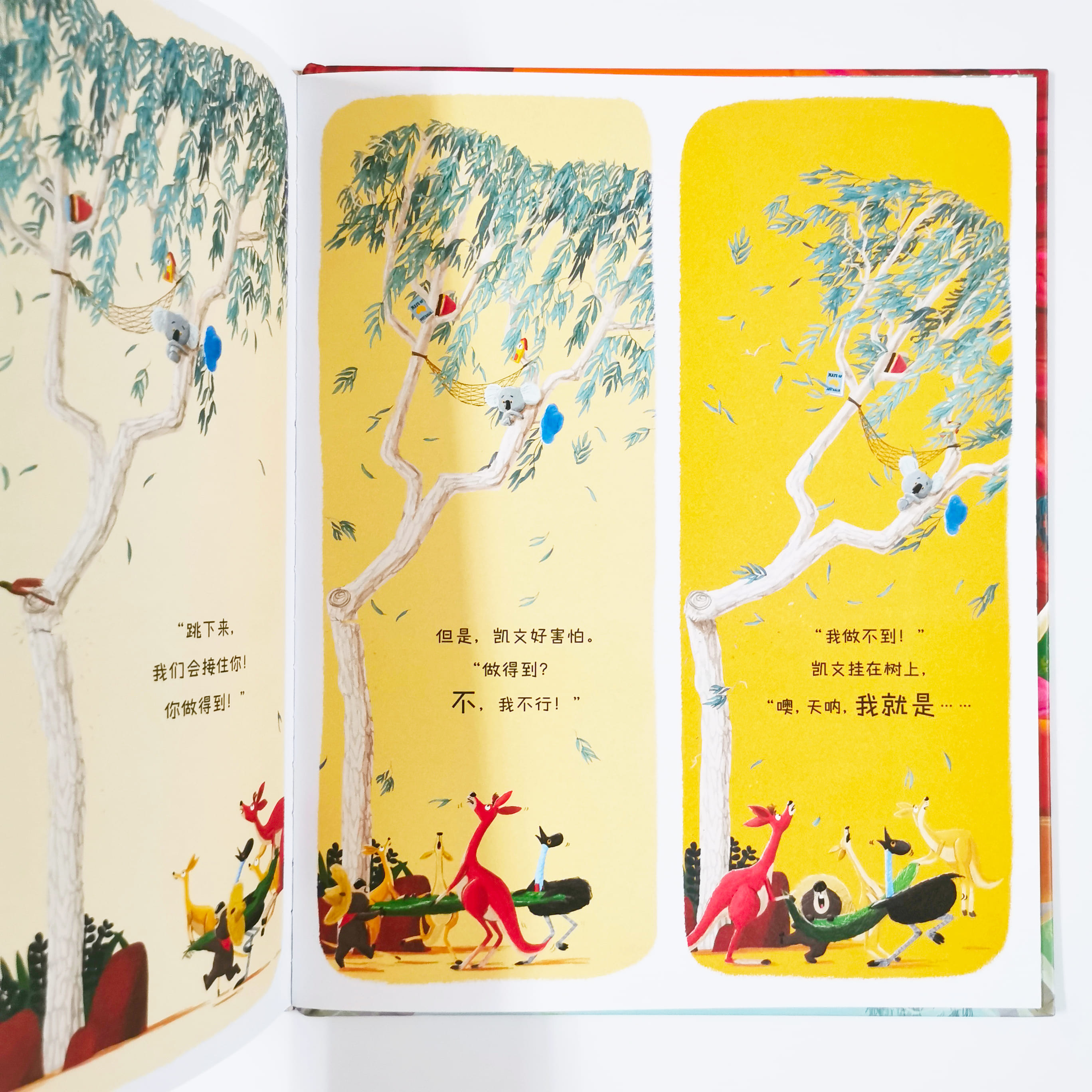 考拉做得到 The Koala Who Could