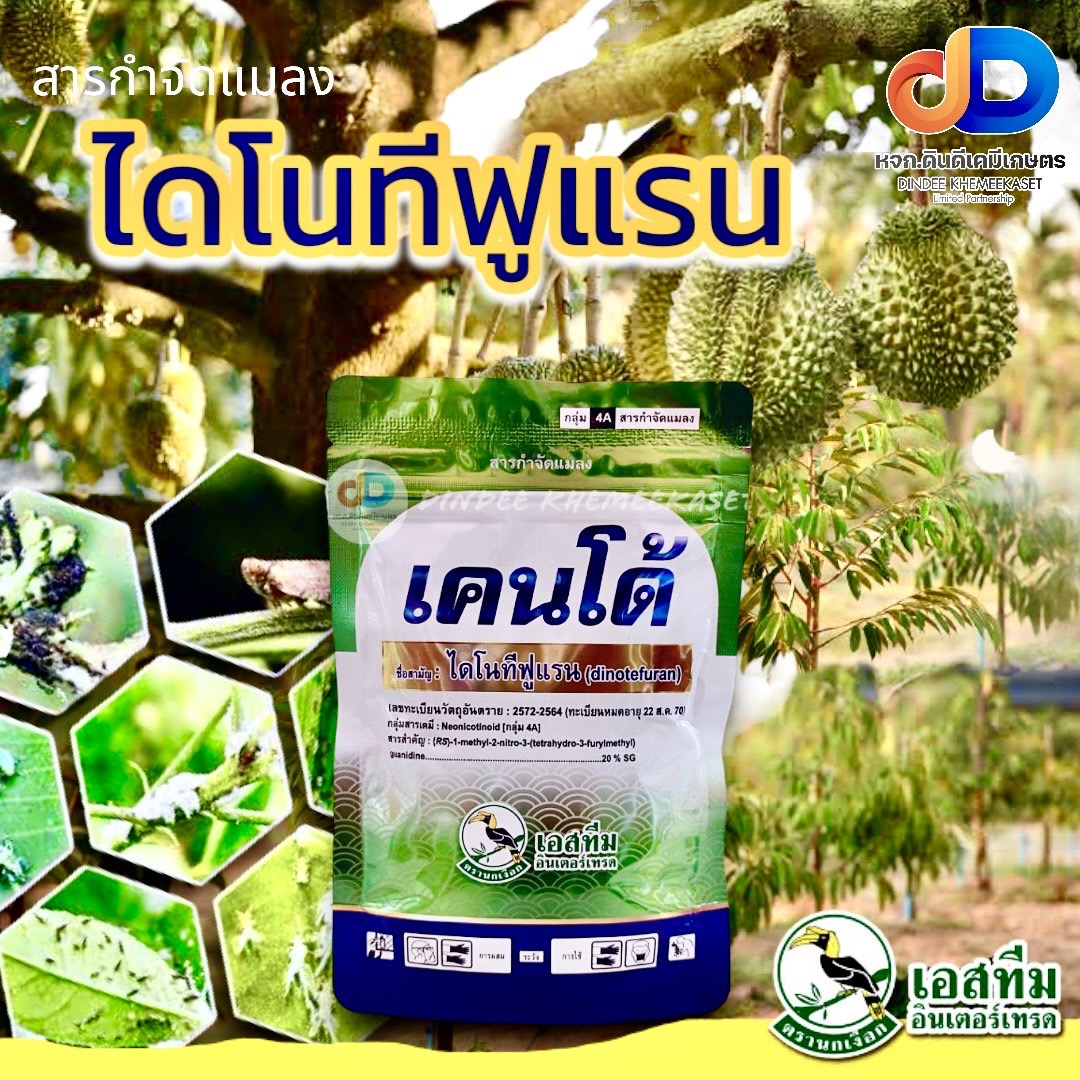 (ยกลังx100ซอง)เคนโด้ :ไดโนทีฟูแรน 20% SG 100กรัม กำจัดเพลี้ยกระโดด เพลี้ยจั๊กจั่น เพลี้ยแป้ง