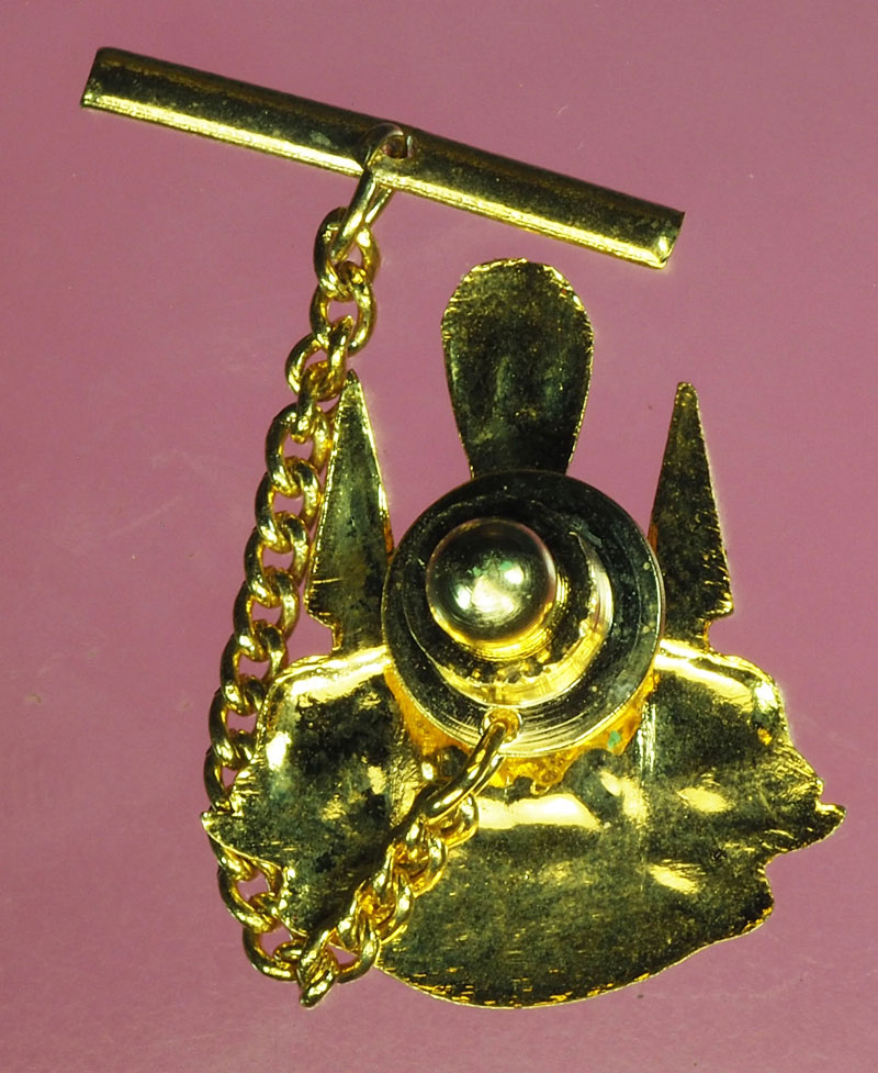 A517 กลัดติดไทก์ ฉลองสิริราชสมบัติ ครบ 50 ปี 5