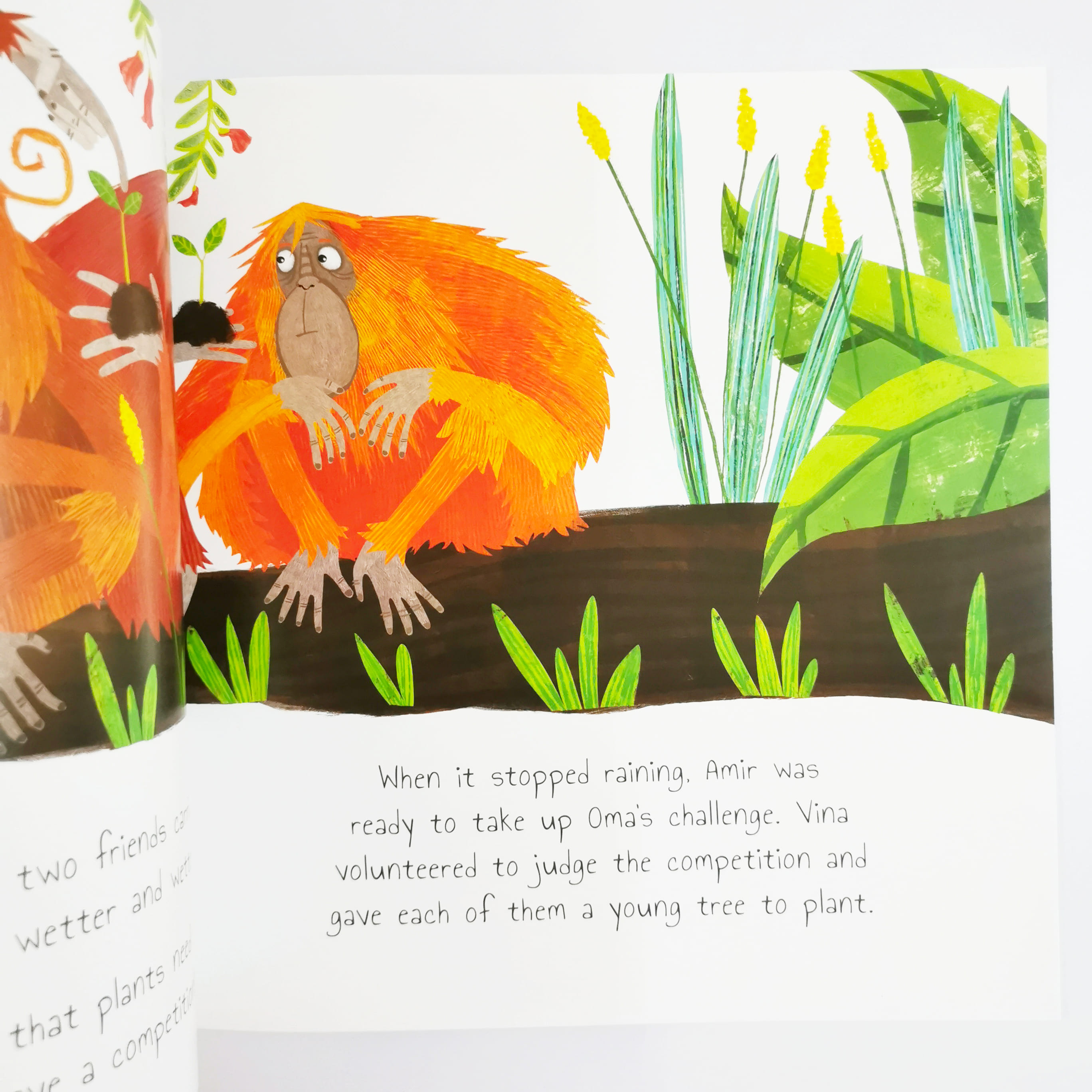 The Plucky Orangutan (Rainforest Tales)