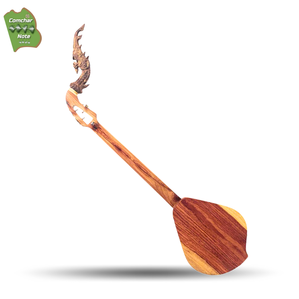 พิณโปร่งไฟฟ้าคำชะโนด "หาดนางคอยไฟฟ้า" V.2 / BNK-E V.2