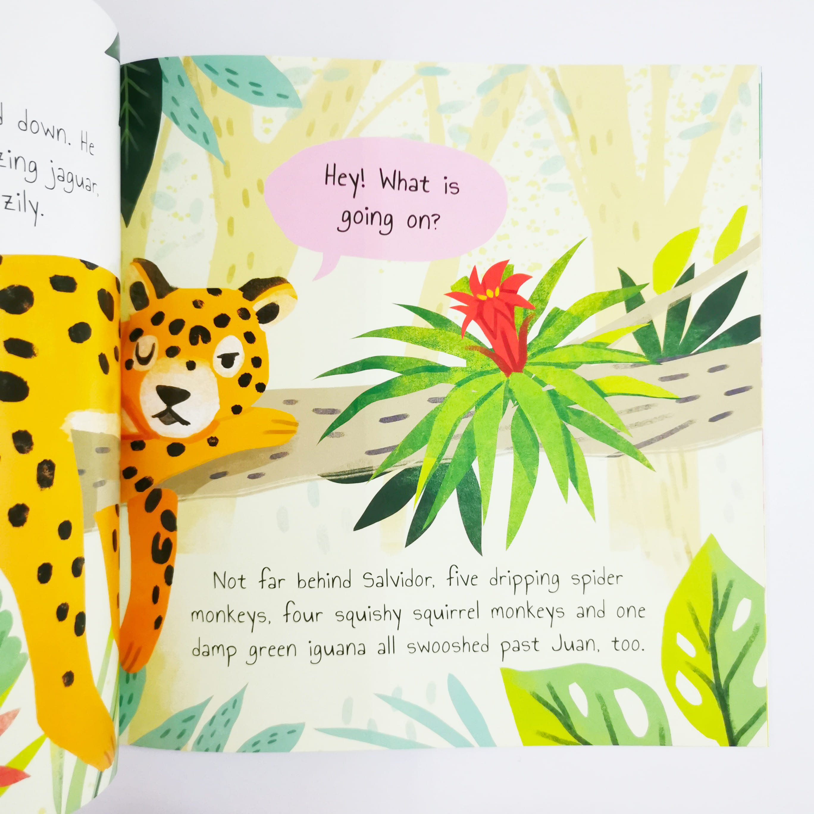 The Storyteller Sloth (Rainforest Tales)