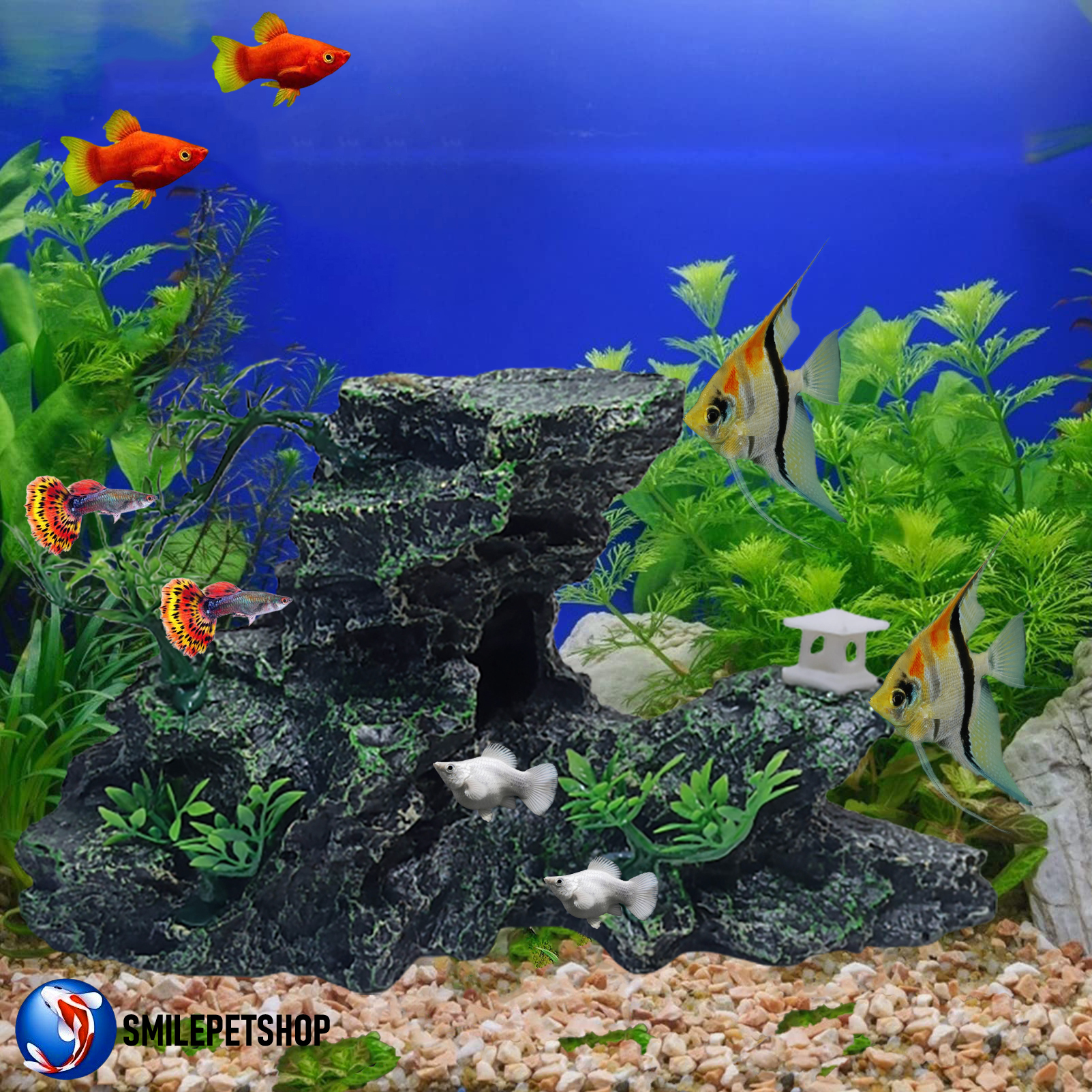 ภูเขาหินเรซินตกแต่งตู้ปลา(ภูเขาหิน วัสดุเรซิน สำหรับตกแต่งตู้ปลา ลวดลาย และสีสันสวยงาม เป็นธรรมชาติ ปลอดภัยต่อปลา)