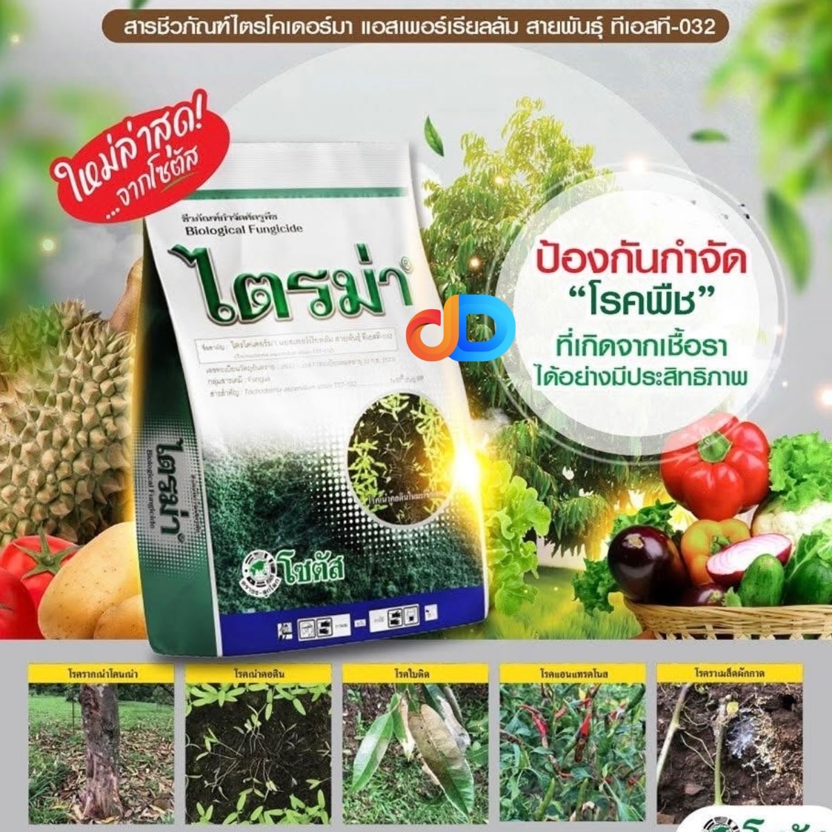 ไตรม่า -ไตรโคเดอร์มา แอสเพอร์เรียลลัม สายพันธุ์ ทีเอสที-032..1x108 cfu/g WP โซตัส ขนาด 500 กรัม -กำจัดเชื้อรา