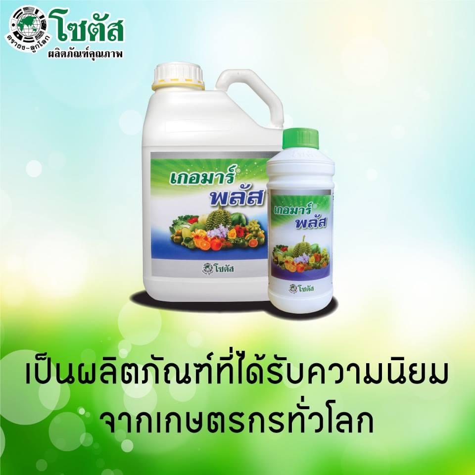 (ยกลังx12ขวด) เกอมาร์พลัส ส่งเสริมการออกดอกติดผล ฟื้นสภาพต้นหลังเก็บเกี่ยว เกอมาร์ พลัส (Goemar Plus) ขนาด1ลิตร