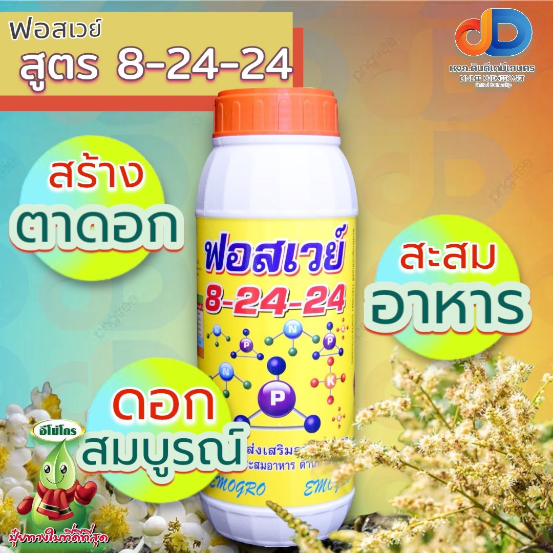 (ชุด3ขวด)ปุ๋ยน้ำฟอสเวย์ 8-24-24 ส่งเสริมการออกดอก สะสมอาหารดี ช่วยให้ติดดอกดก ผลดก ลดการหลุดร่วง