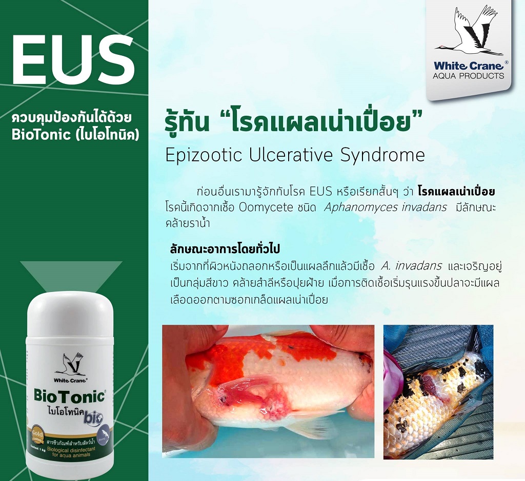 Bio Tonic (สารชีวภัณฑ์ปรับสภาพน้ำ ป้องกันการติดเชื้อและเป็นแผล ดูแลอาการจาก เชื้อรา และเน่าเปื่อยทุกชนิด)