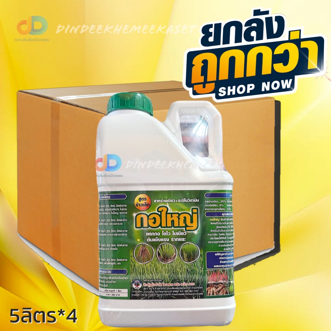 (ยกลัง 4 แกลลอน) กอใหญ่ ขนาด 5 ลิตร : สูตรข้าวเล็ก สาหร่ายเขียว+ อะมิโนวิตามิน แตกกอ โตไว ใบเขียว ต้นแข็งแรง รากแยะ