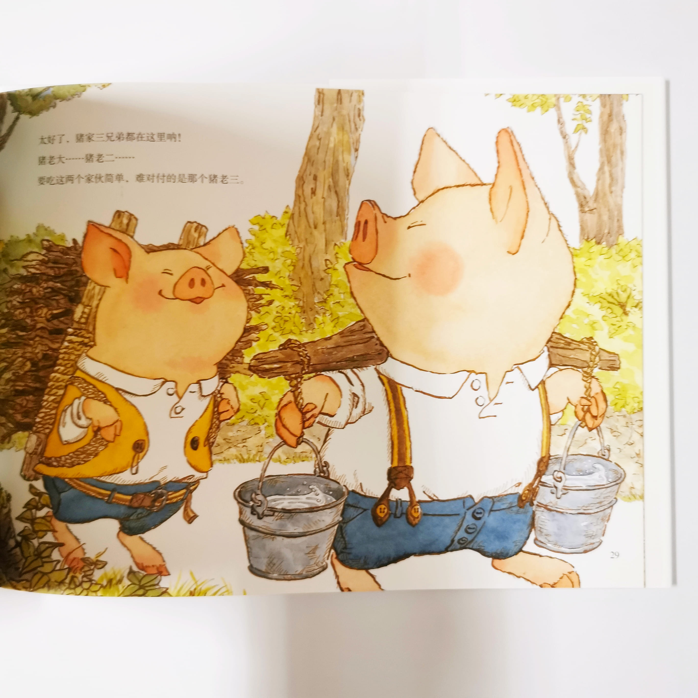 大灰狼才应该小心 The Big Gray Wolf should be careful