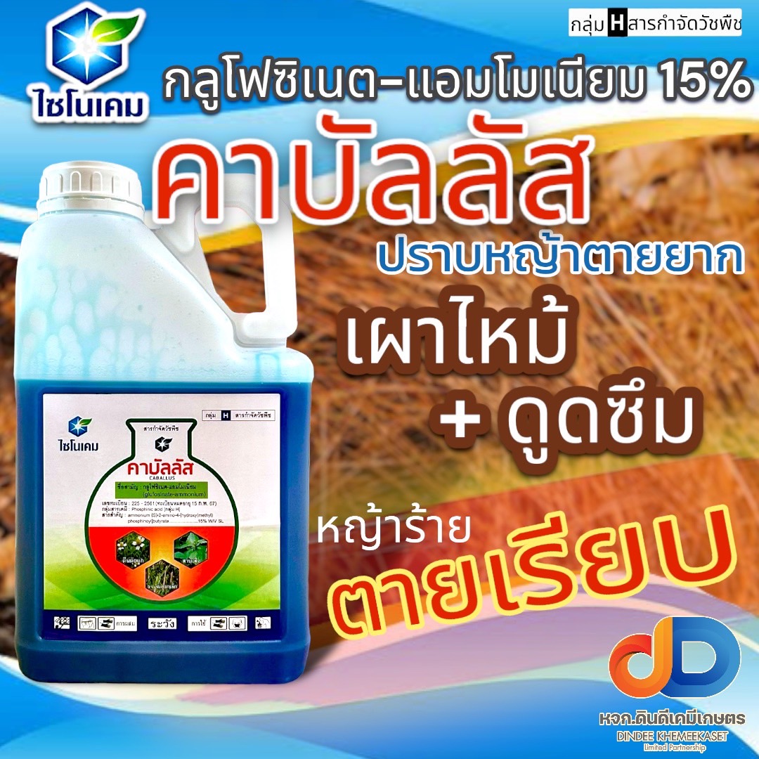 คาบัลลัส ขนาด 4 ลิตร ประเภทใบเเคบหญ้า ขจรจบดอกเล็ก