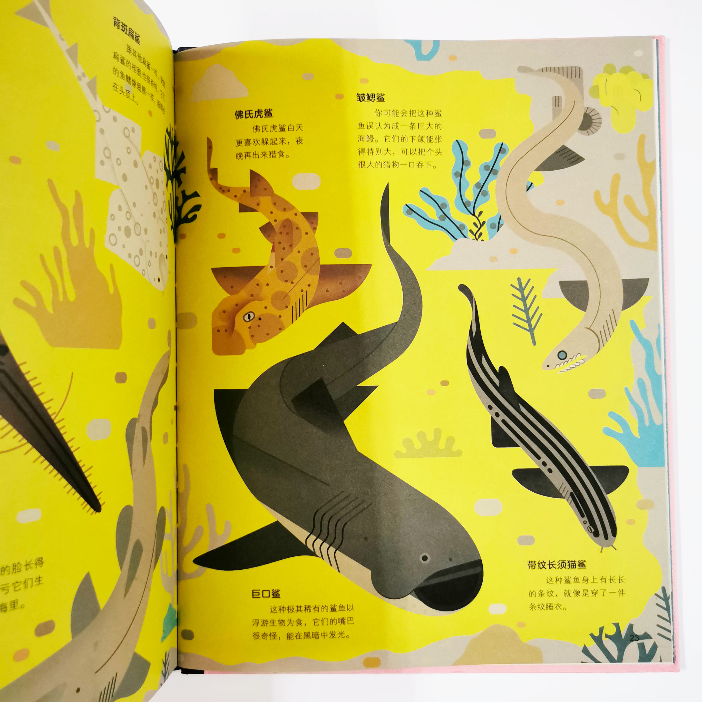 鲨鱼出没 Smart About Sharks