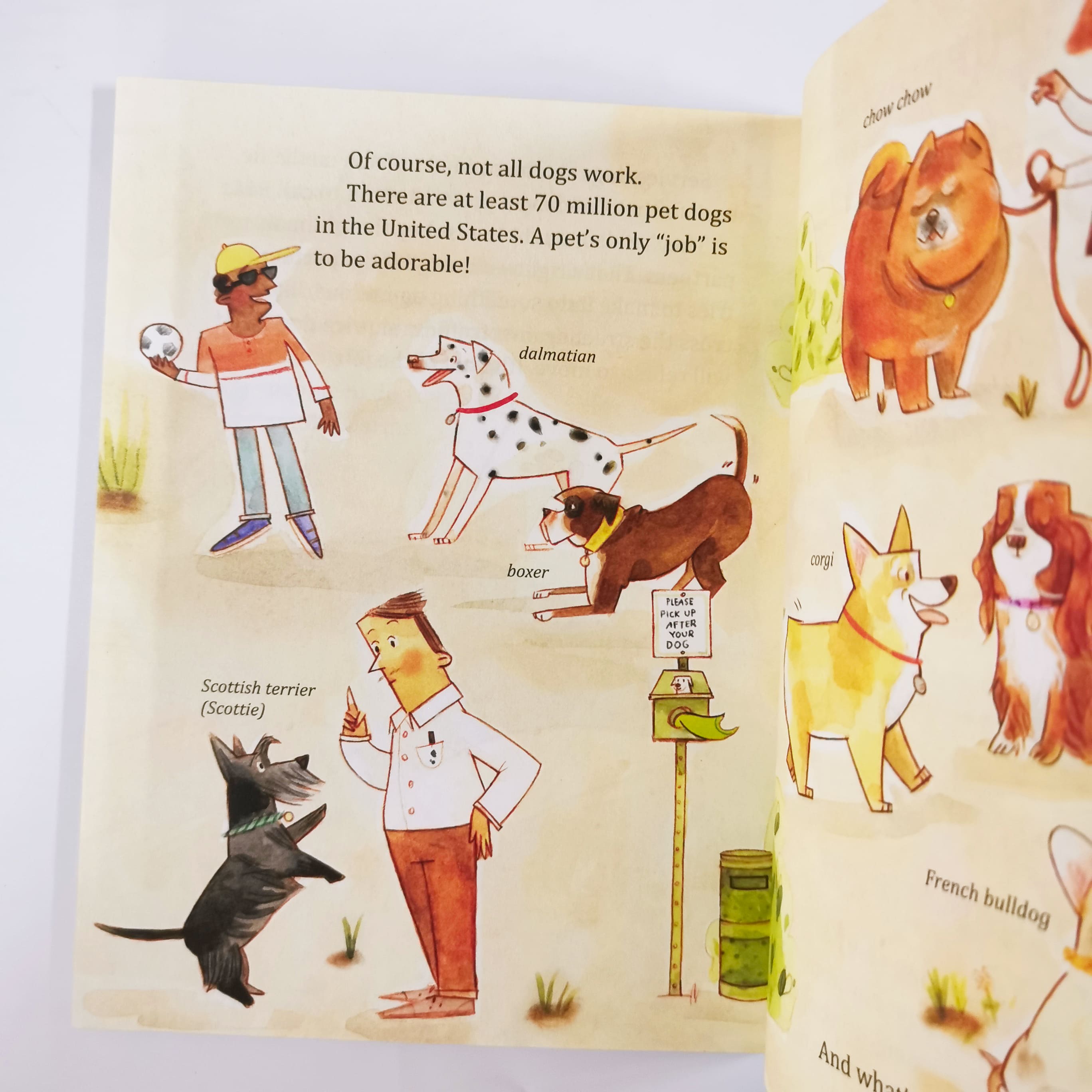My Little Golden Book About Dogs (LGB)