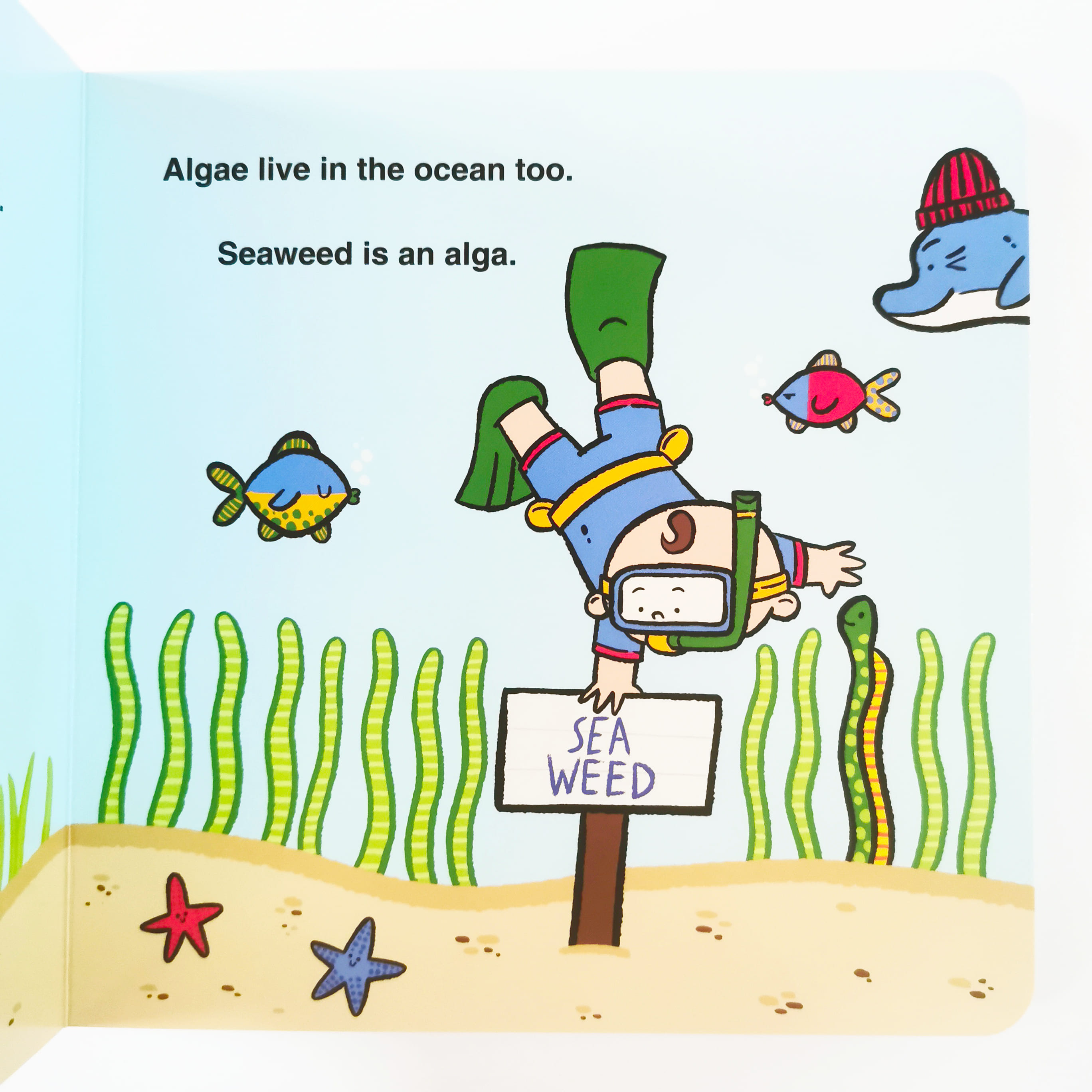 Baby Oceanographer (Baby Scientist)