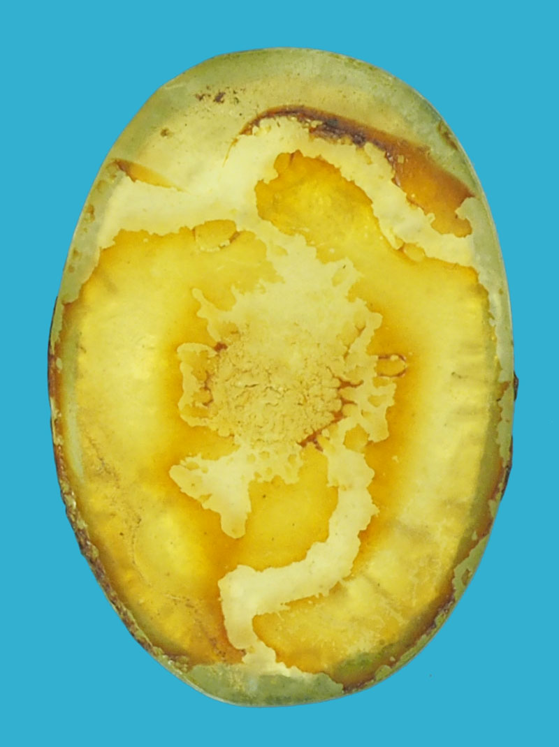 A5344 หัวเเหวนพระครูนิรันดร์เสลคุณ ไม่ทราบที่และปีสร้าง 3