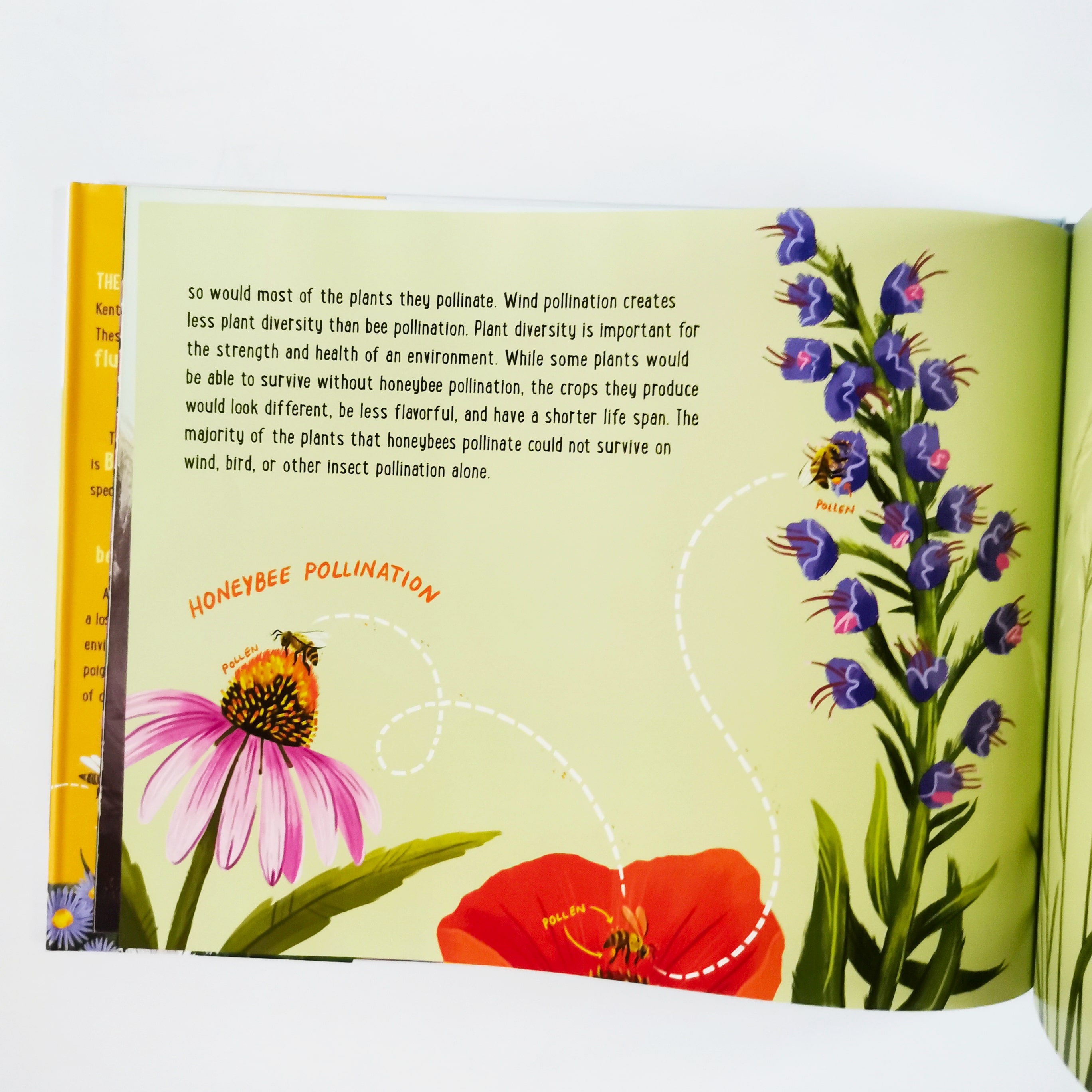 If Bees Disappeared (If Animals Disappeared)