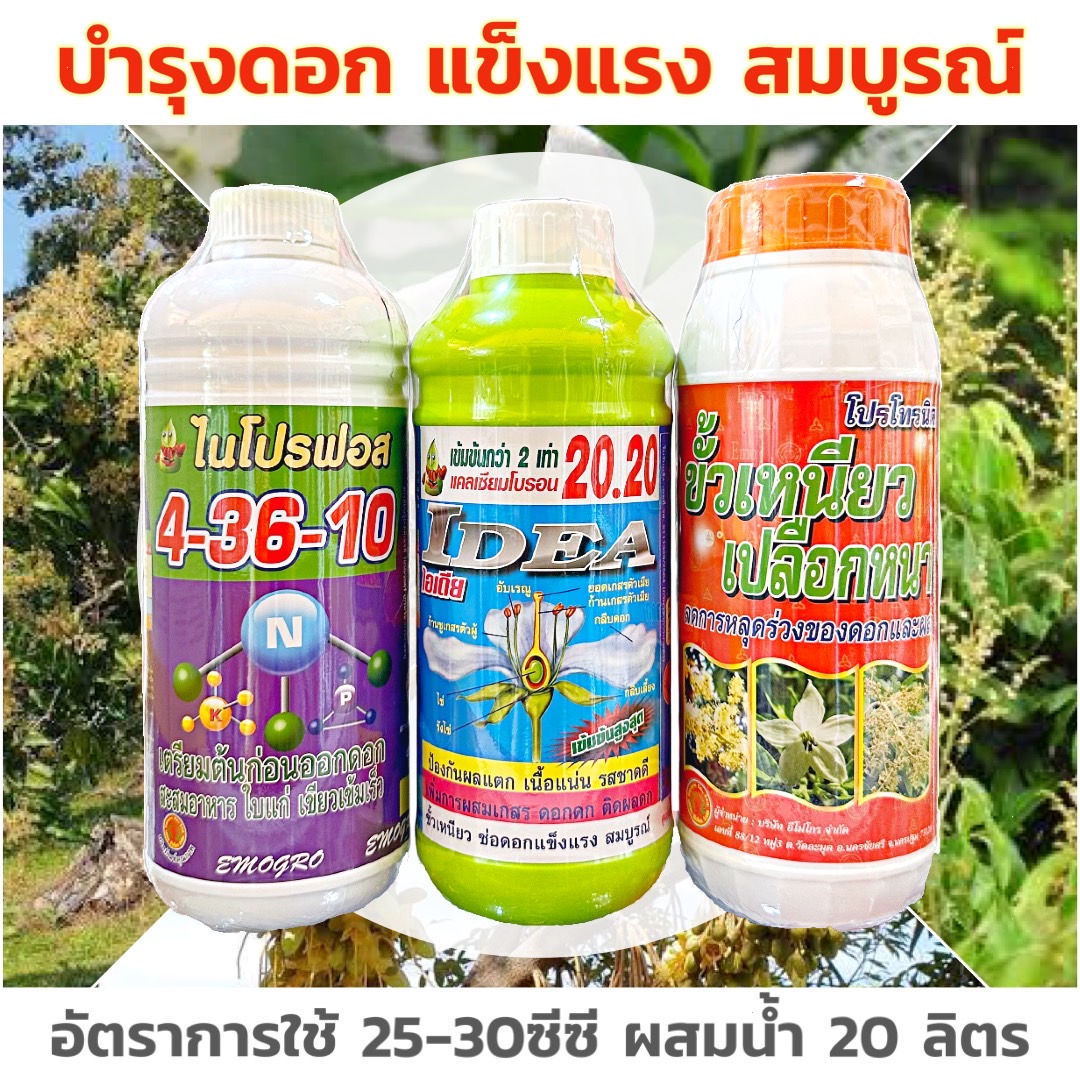 บำรุงดอก แข็งแรง สมบูรณ์ โปรโทรนิค ขั้วเหนียว+ไอเดียแคลเซียม-โบรอน 20.20+ปุ๋ยน้ำ 4-36-10 ขนาด 1ลิตร