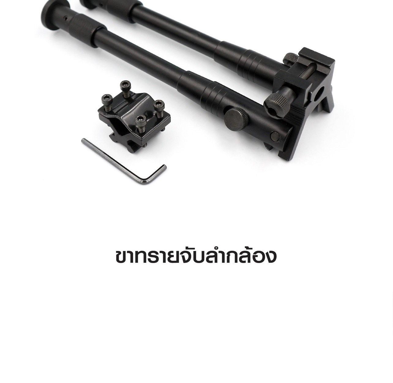 ขาทรายจับลำกล้อง