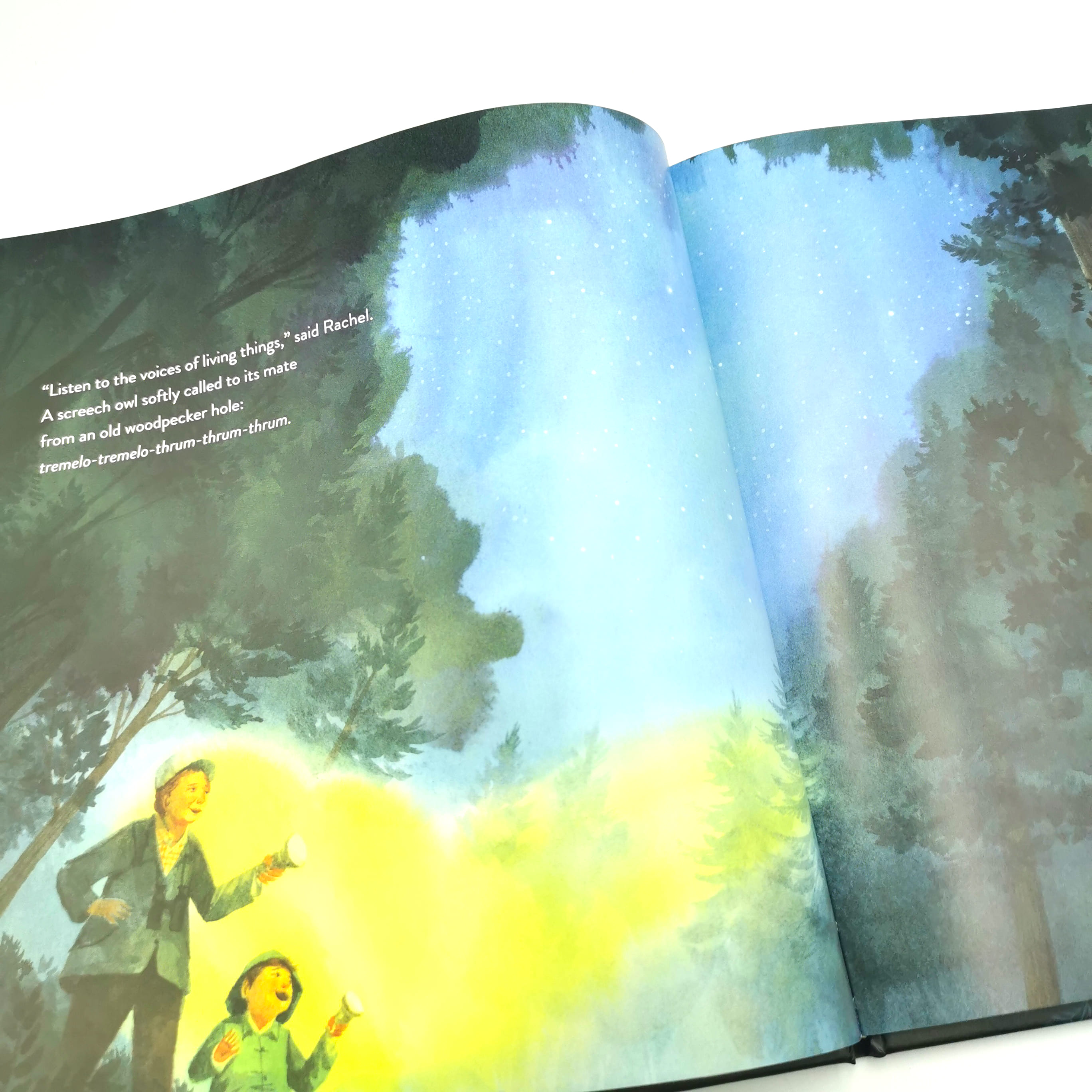 Night Walk to the Sea