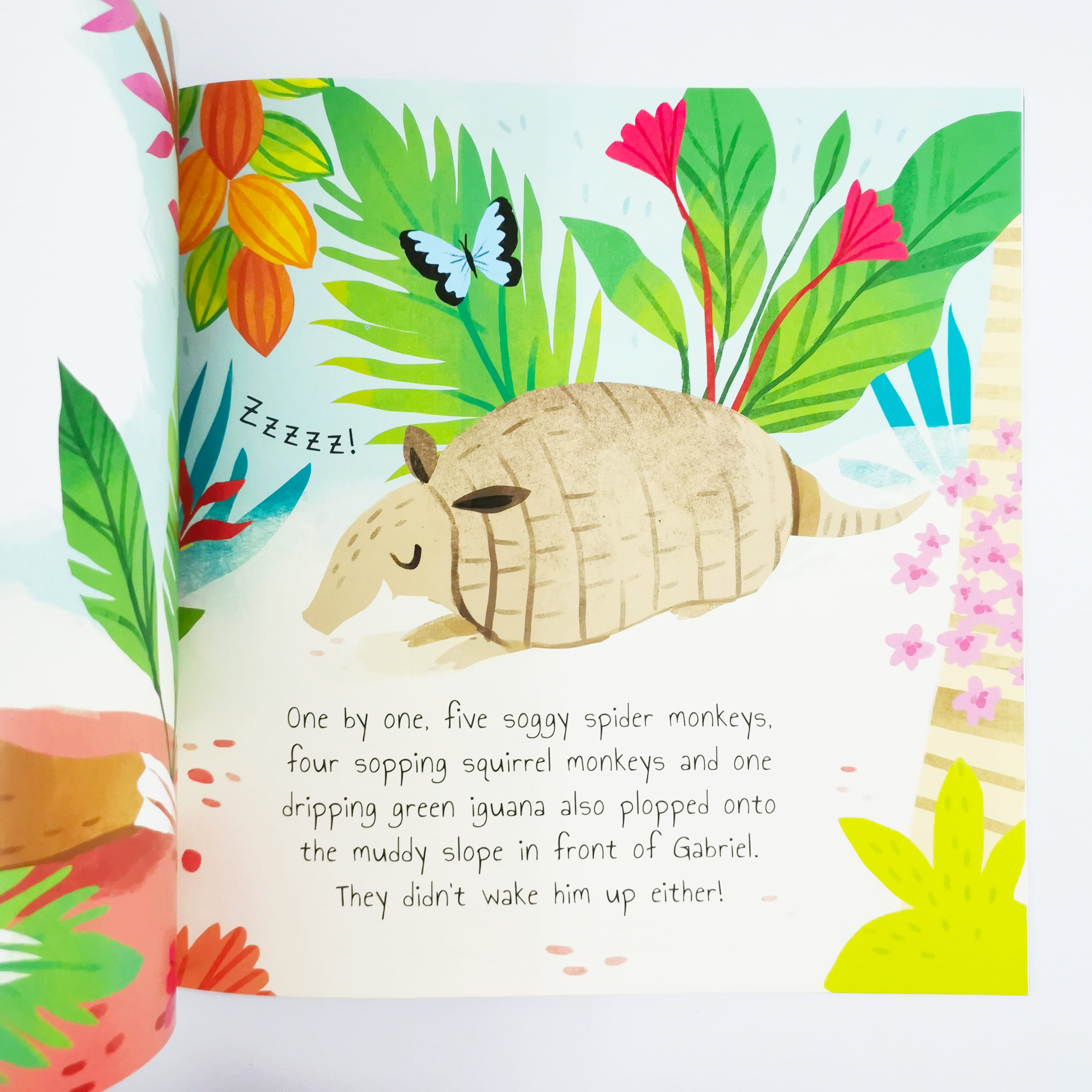 The Storyteller Sloth (Rainforest Tales)