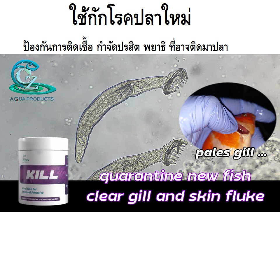 KILL Medicine For External Parasite 50g.(ฆ่าเชื้อโรค อาหารสด อุปกรณ์ กำจัดปรสิต จุดขาว ภายนอกตัวปลา ผลิตโดยสัตวแพทย์)