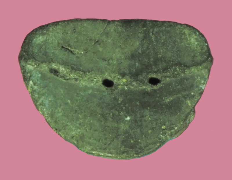 A5192 พระผงรูปเหมือนหลวงปุ่ทวด ไม่ทราบวัด 11