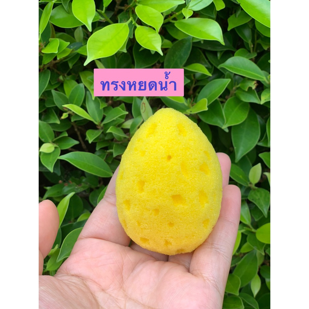 ฟองน้ำอนามัย ลูกเจี๊ยบ