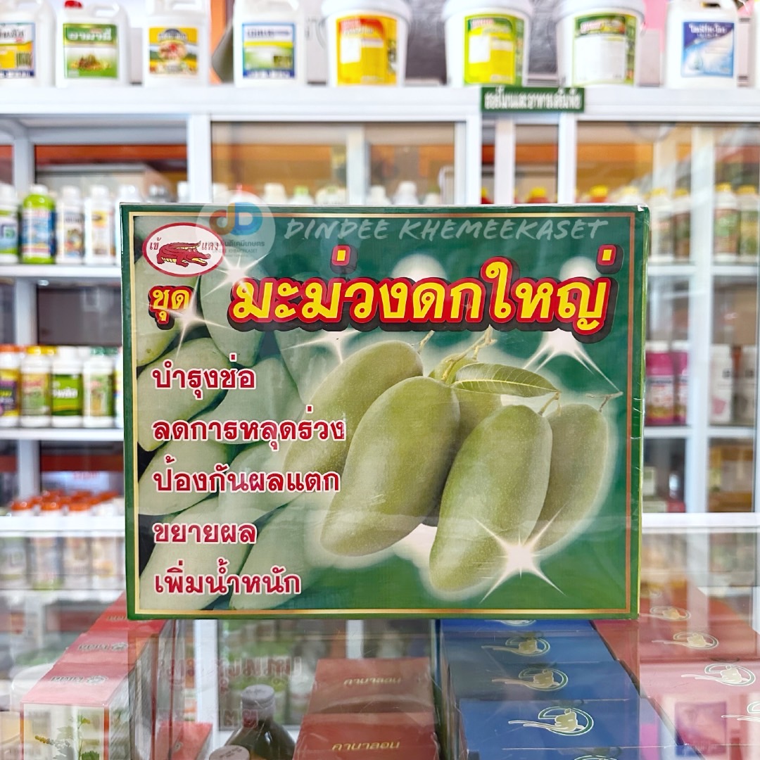 ชุดมะม่วงดกใหญ่ บำรุงช่อ ลดการหลุดร่วง ป้องกันผลแตก ขยายผล เพิ่มน้ำหนัก