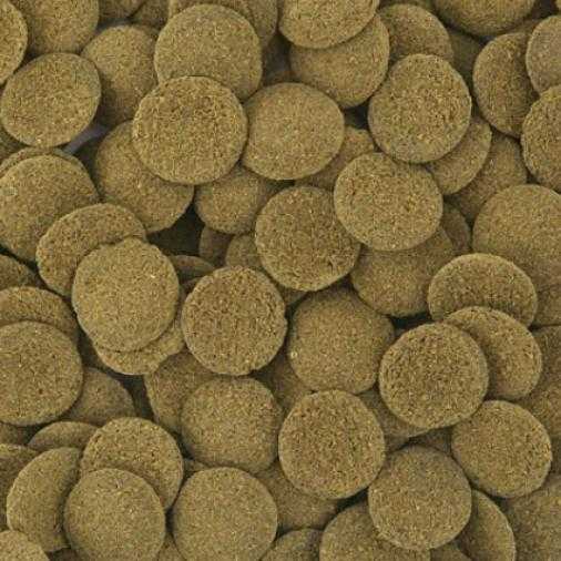 Hikari Sinking Wafers (อาหารปลาเม็ดจมน้ำ เกรดพรีเมี่ยม สำหรับปลาพื้นตู้)