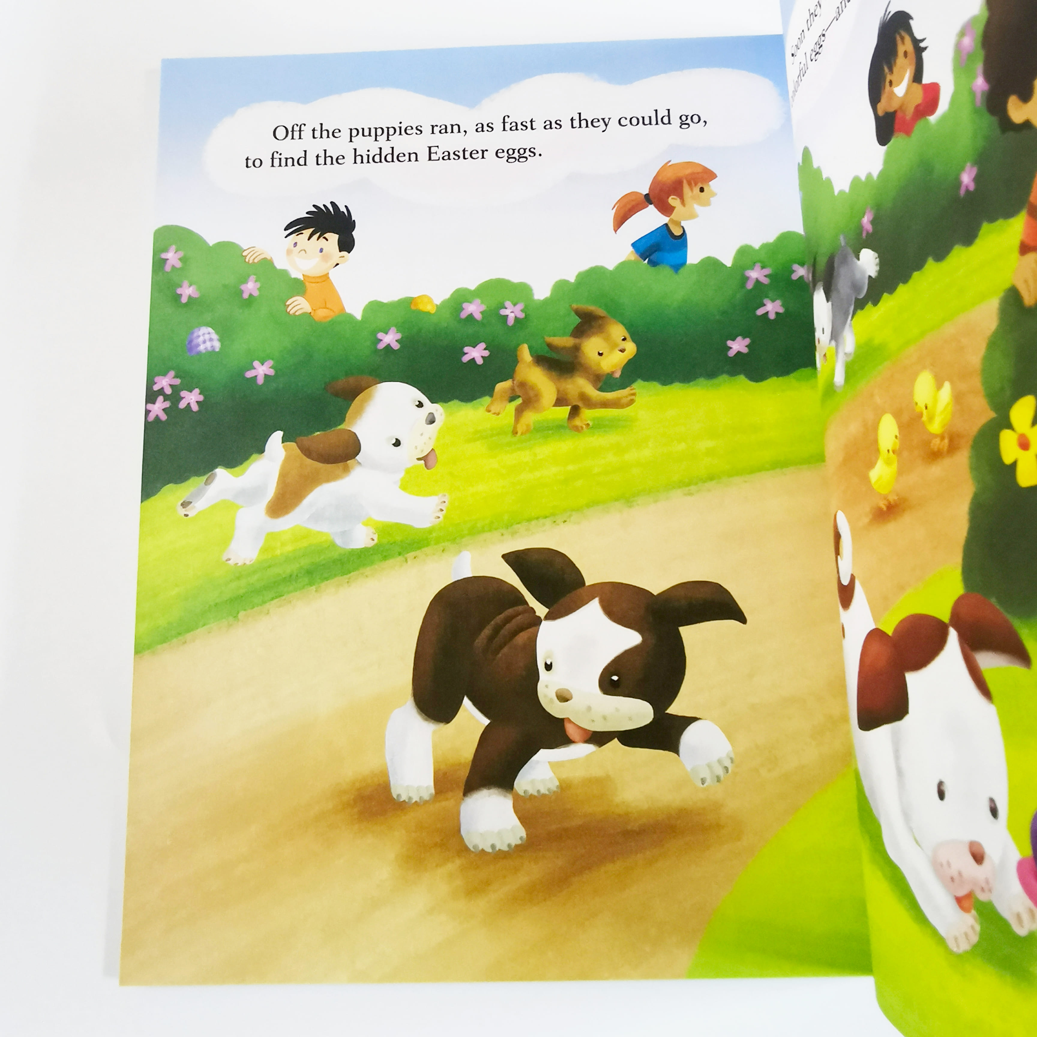 The Poky Little Puppy's Special Spring Day (LGB)