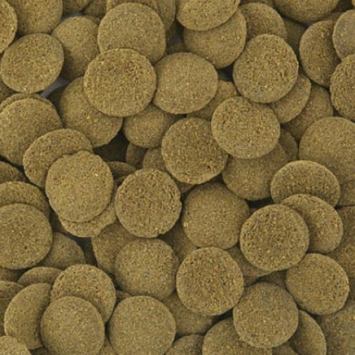 RoF Exo' Feed Large Carnivore Sinking Special Fish Food 1000g.ถุงชมพู(อาหารปลาเม็ดจมน้ำสำหรับปลากินเนื้อ โปรตีนสูง)