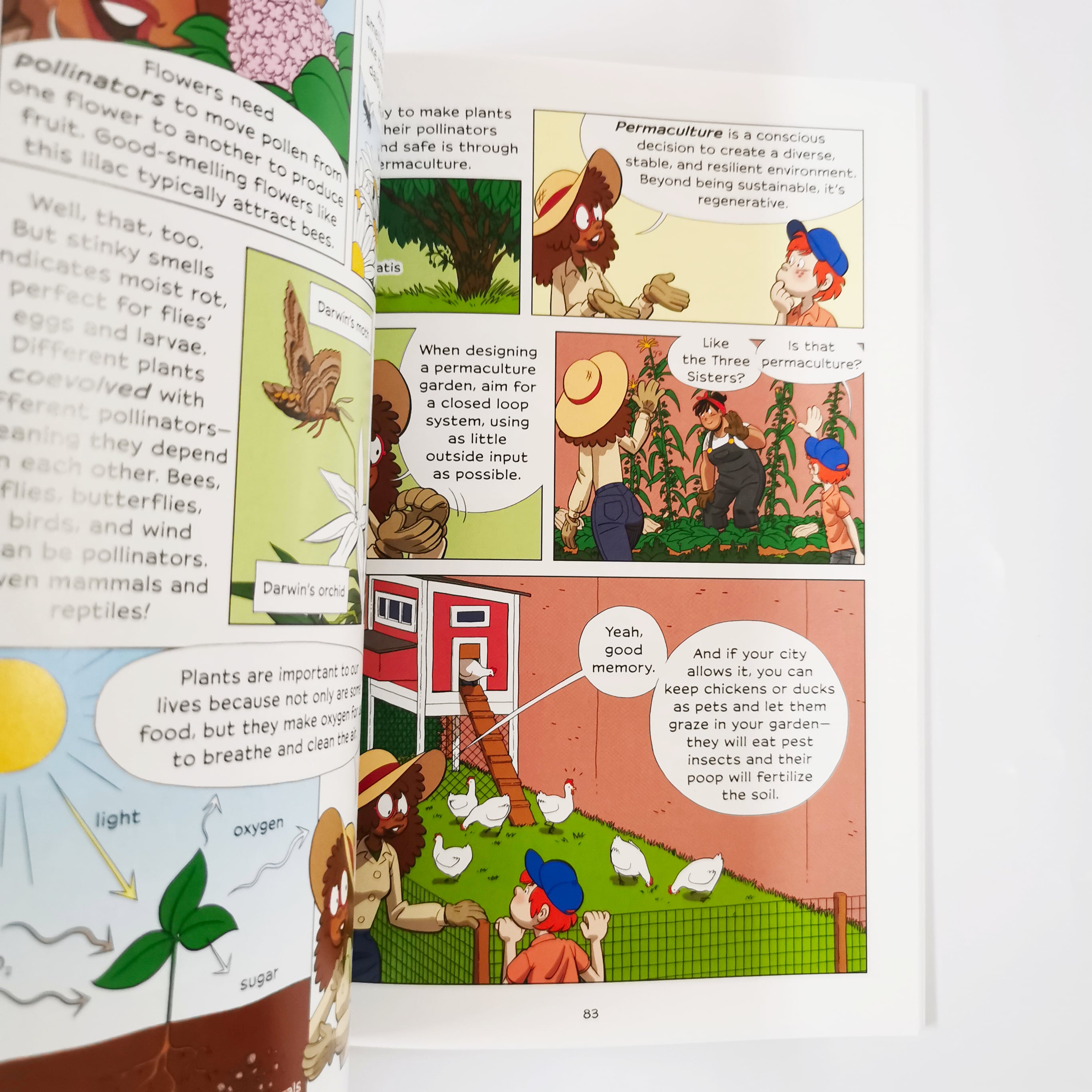 Live Sustainably! (Maker Comics)