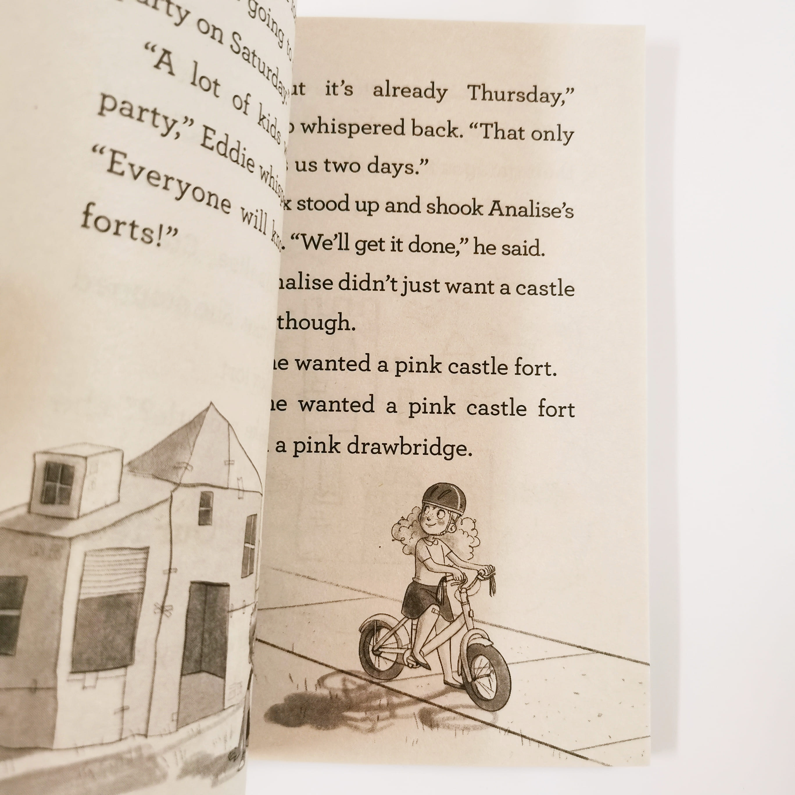 The Birthday Castle (Fort Builders)