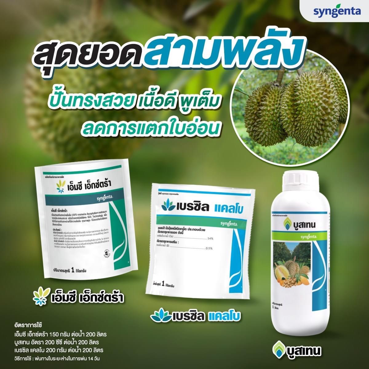 ชุด ลดการแตกใบอ่อน เอ็มซี เอ็กซ์ตร้า 1กก.+ เบรซิล แคลโบ 1 กก.+ บูสเทน ขนาด 1ลิตร ปั้นทรงสวย เนื้อดี พูเต็ม