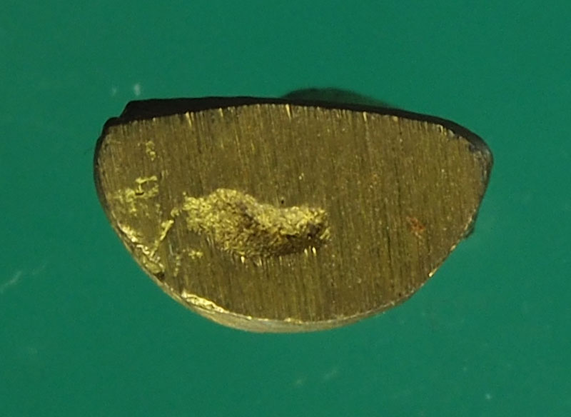 B2451 พระพุทะชินราช ไม่ทราบที่และปีสร้าง 3