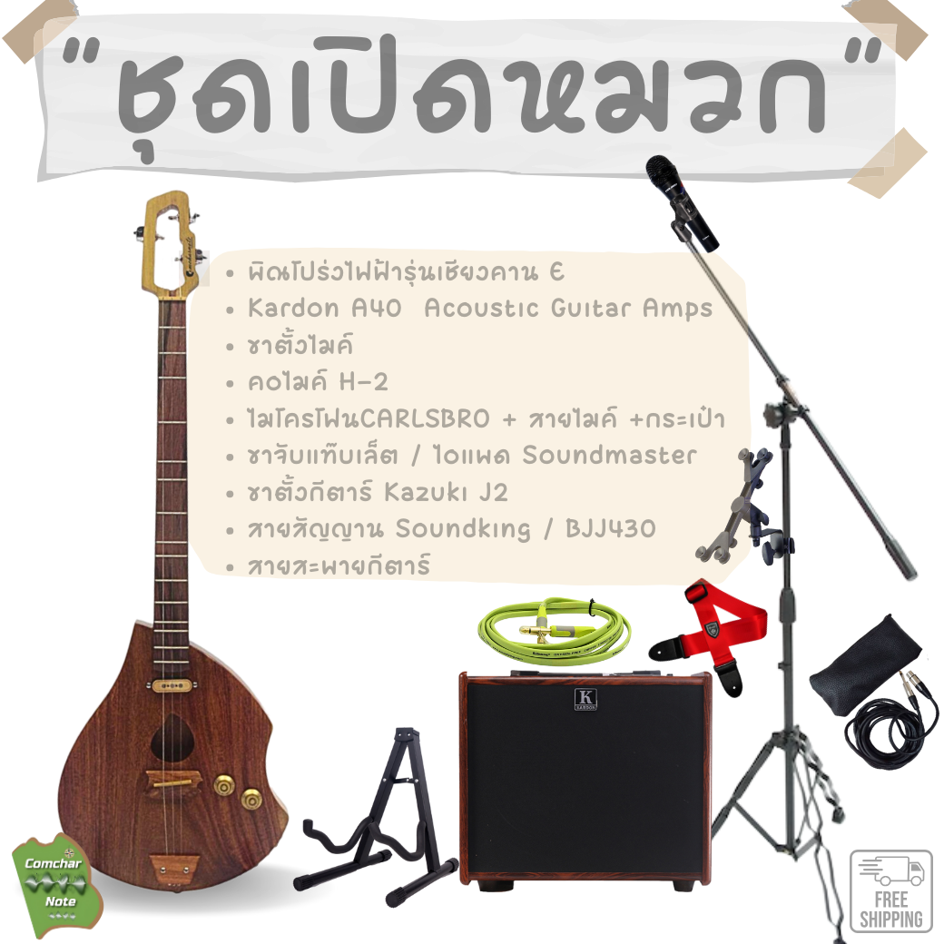 ชุดเปิดหมวกมาตรฐาน พิณ + amp + mic