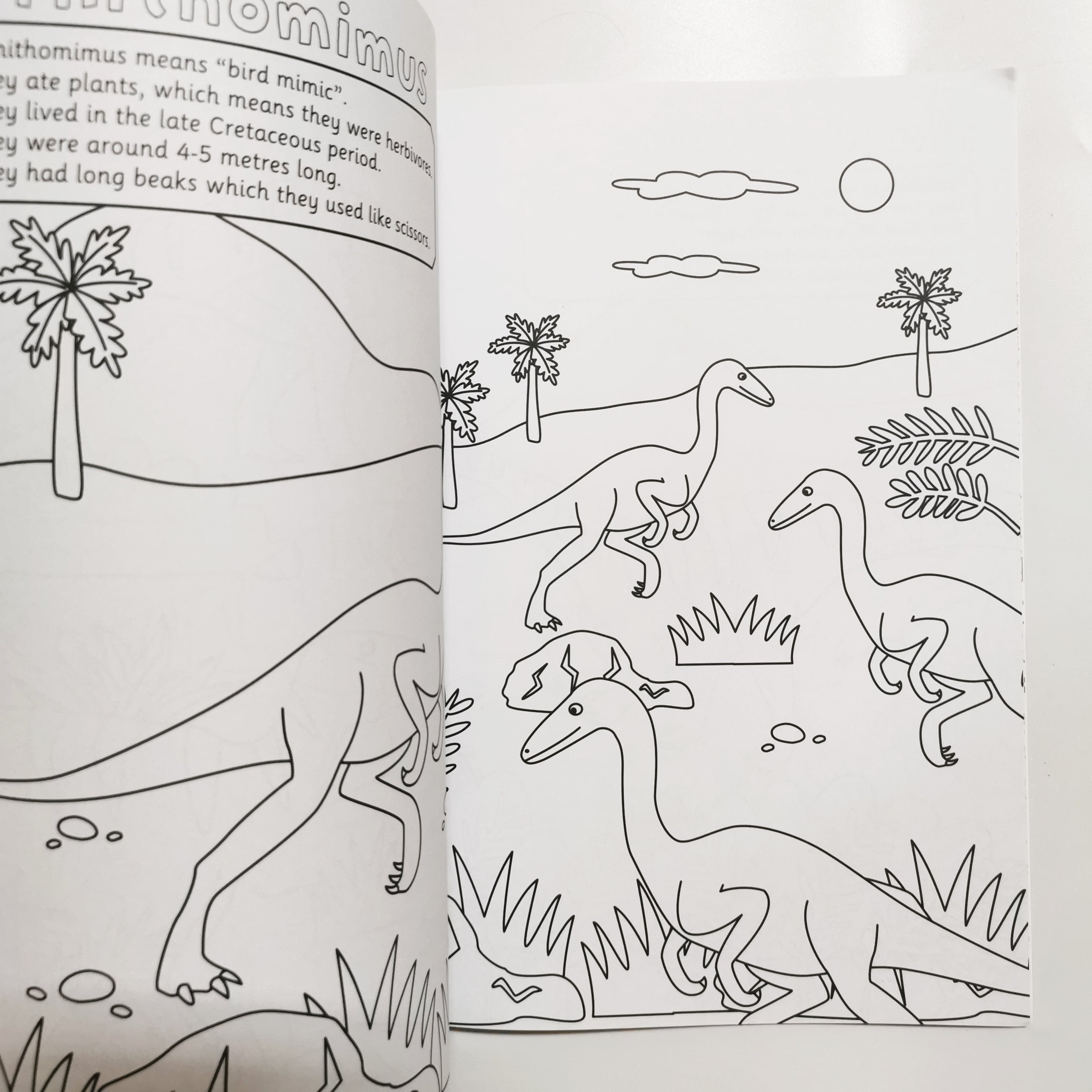 Dinosaur Facts Colouring Fun